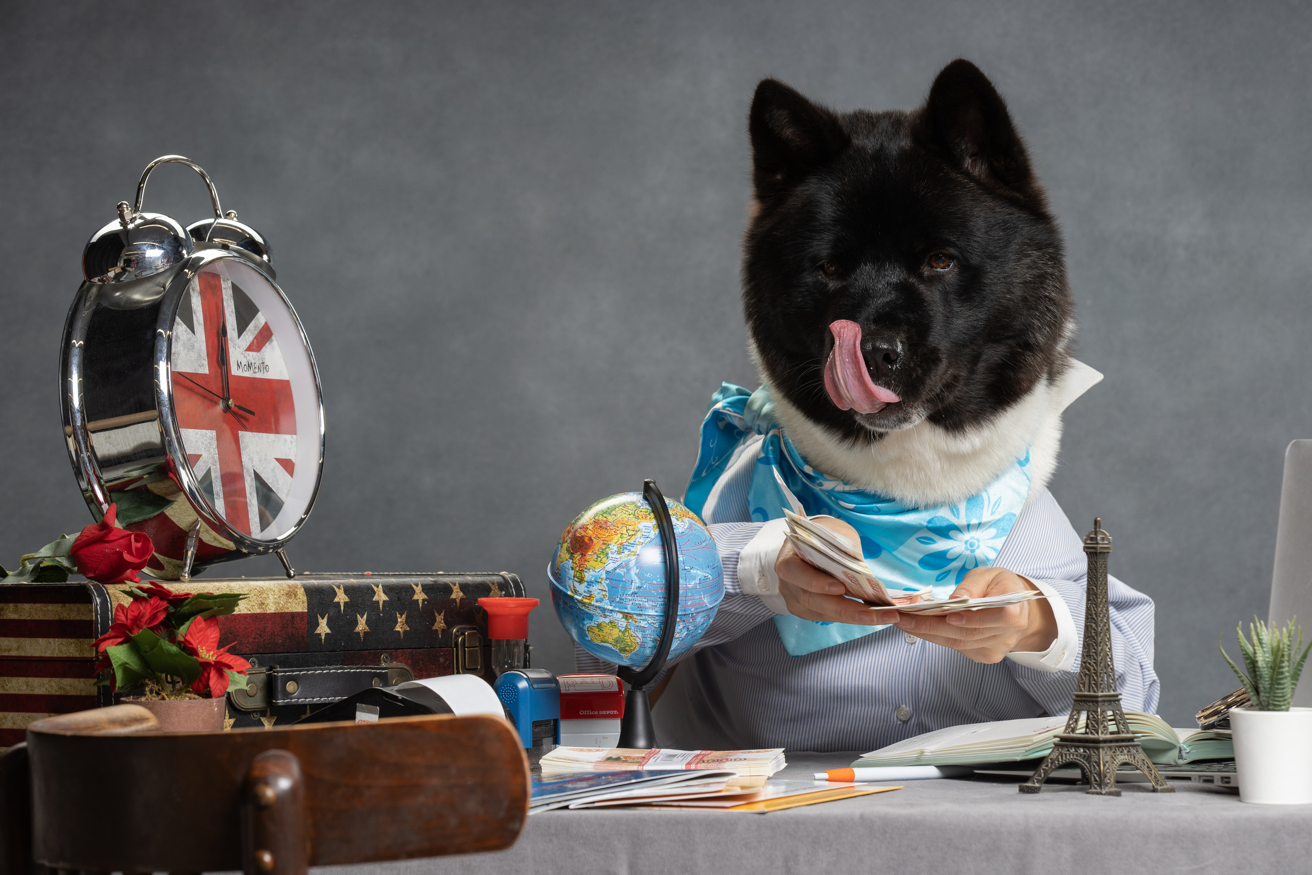 Фотограф анималист в Санкт-Петербурге Светлана Писарева