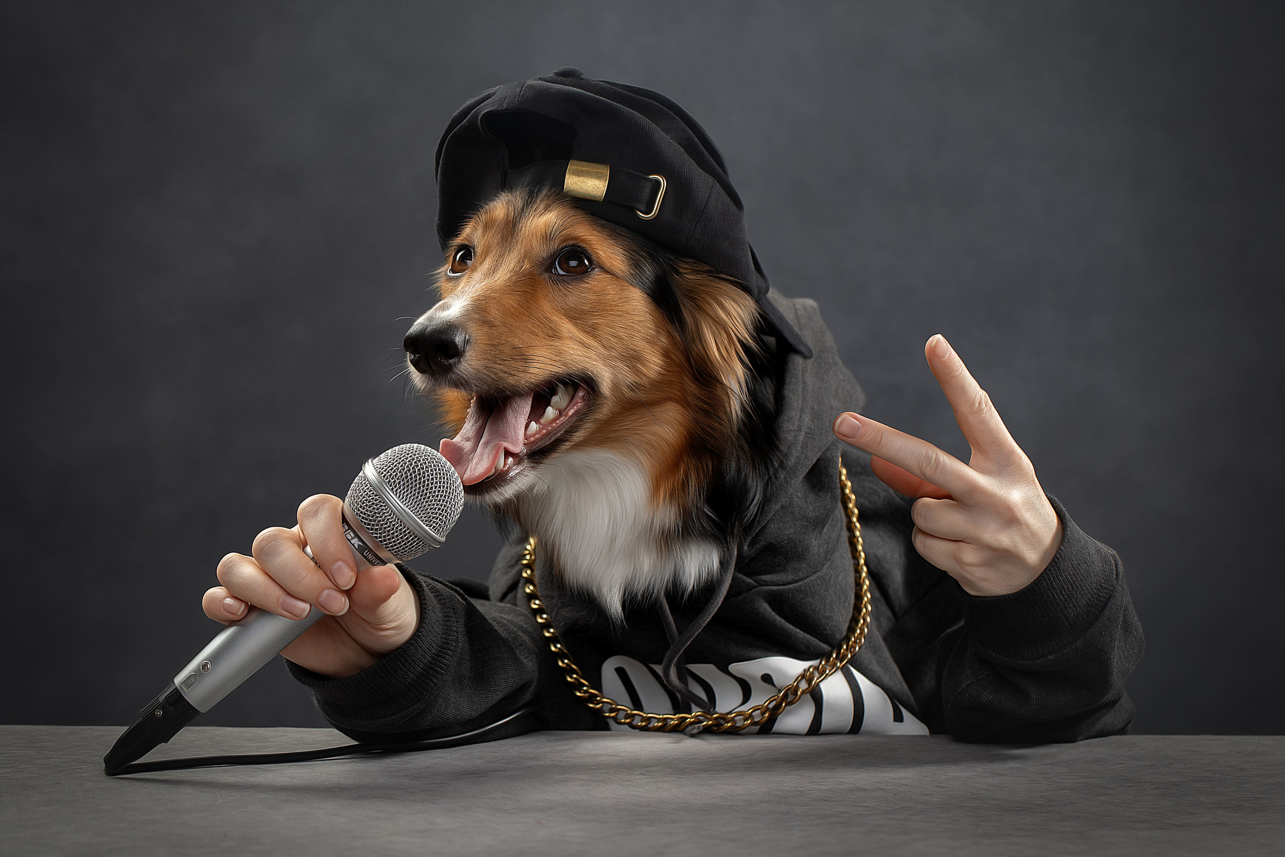 Фотограф анималист в Санкт-Петербурге Светлана Писарева