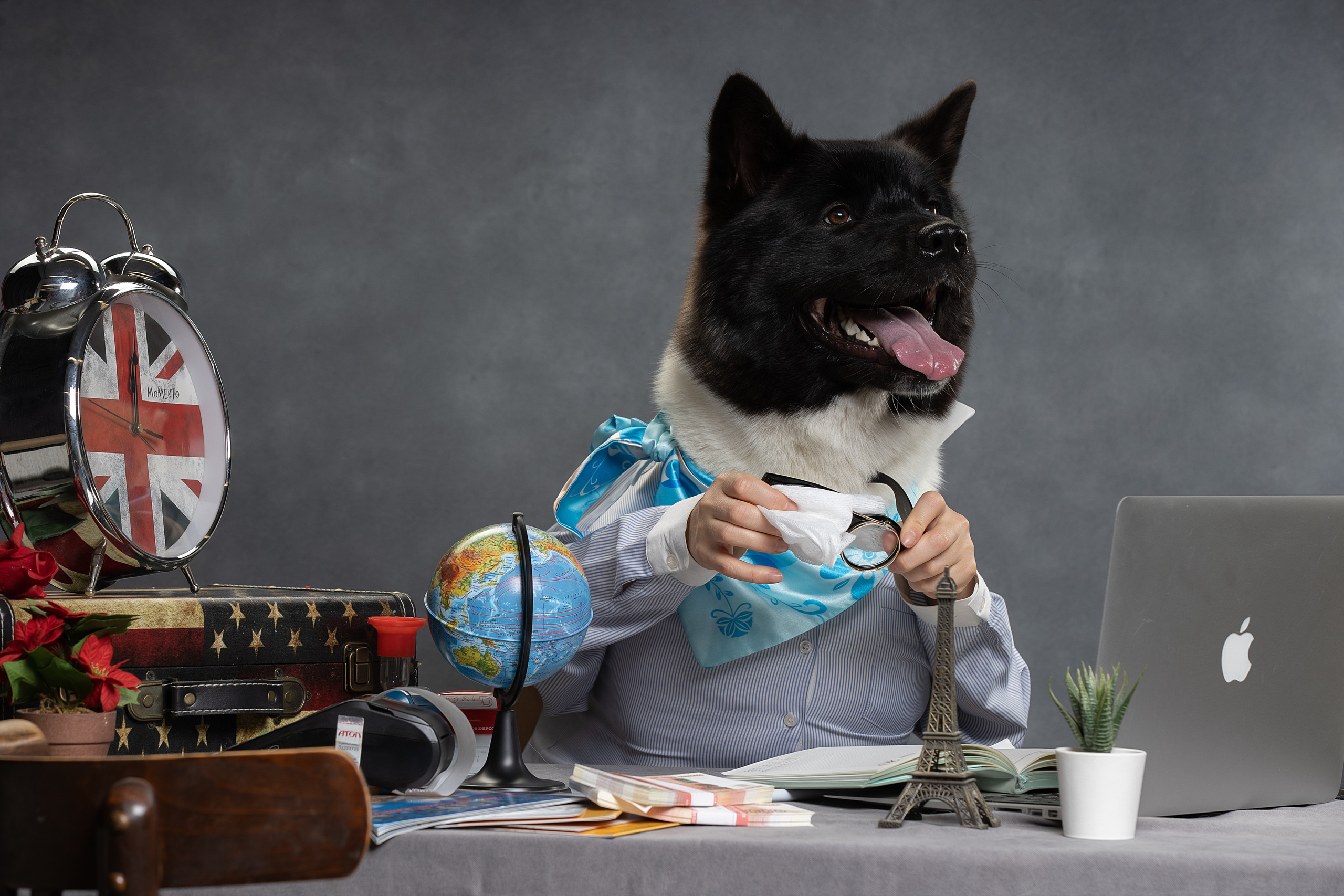 Фотограф анималист в Санкт-Петербурге Светлана Писарева
