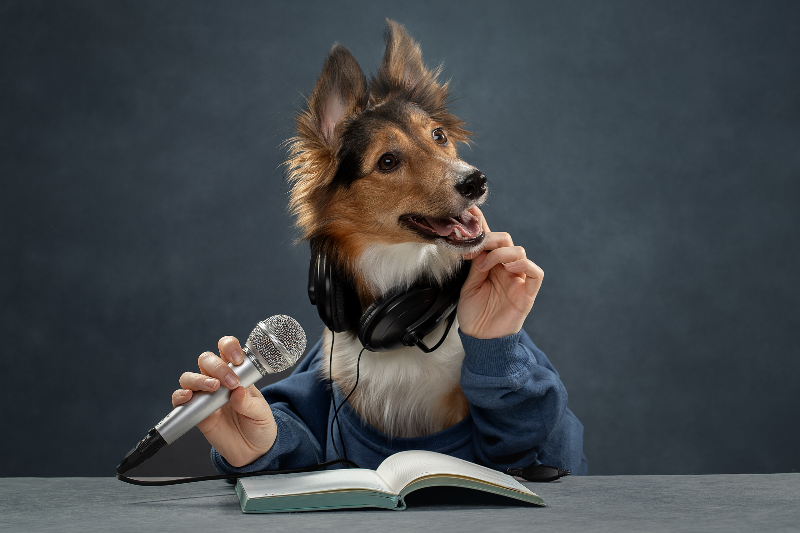Фотограф анималист в Санкт-Петербурге Светлана Писарева