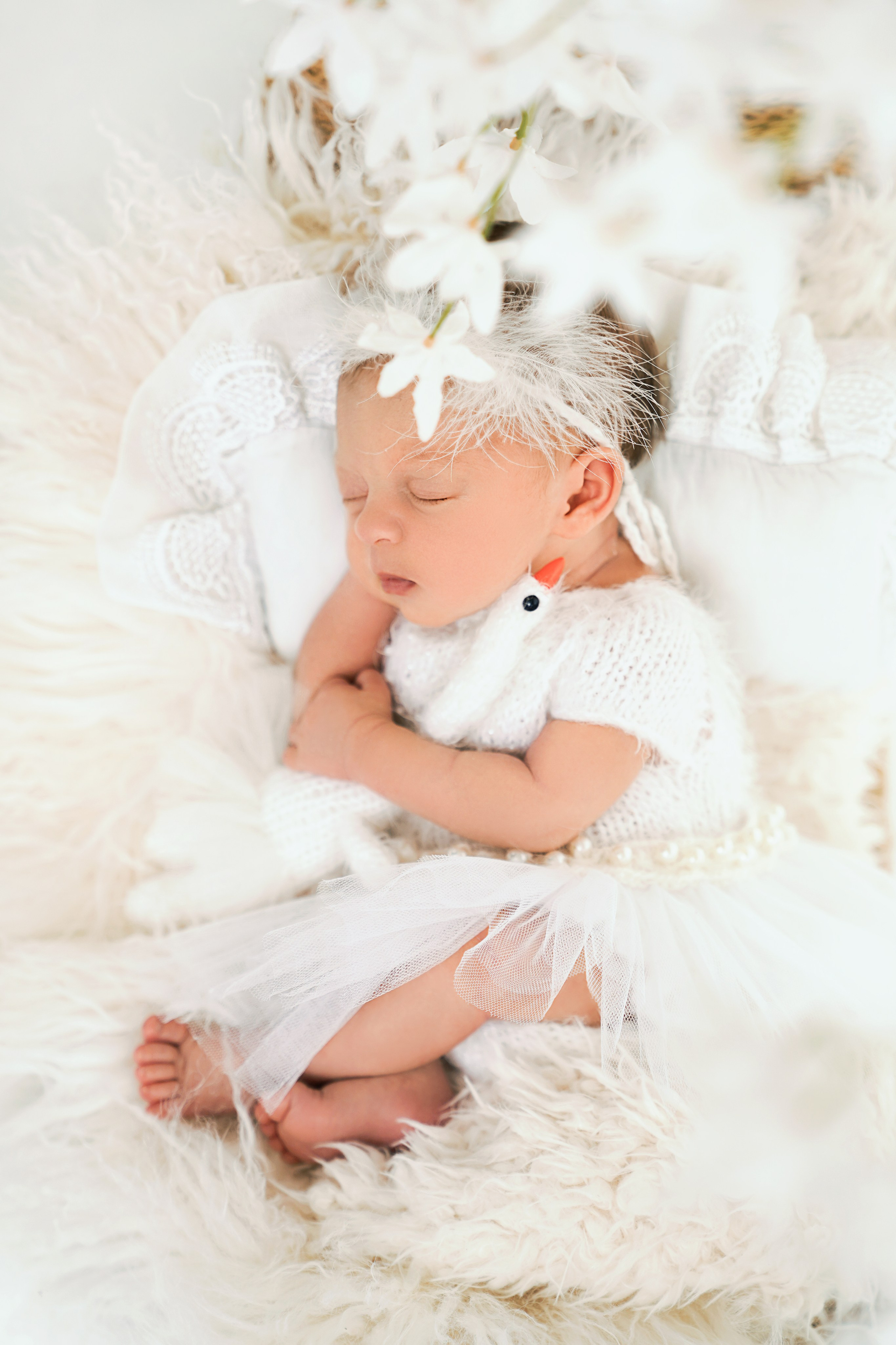 Фотосессия новорожденного (newborn). Фотограф новорожденных, детей до года и беременных в Симферополе