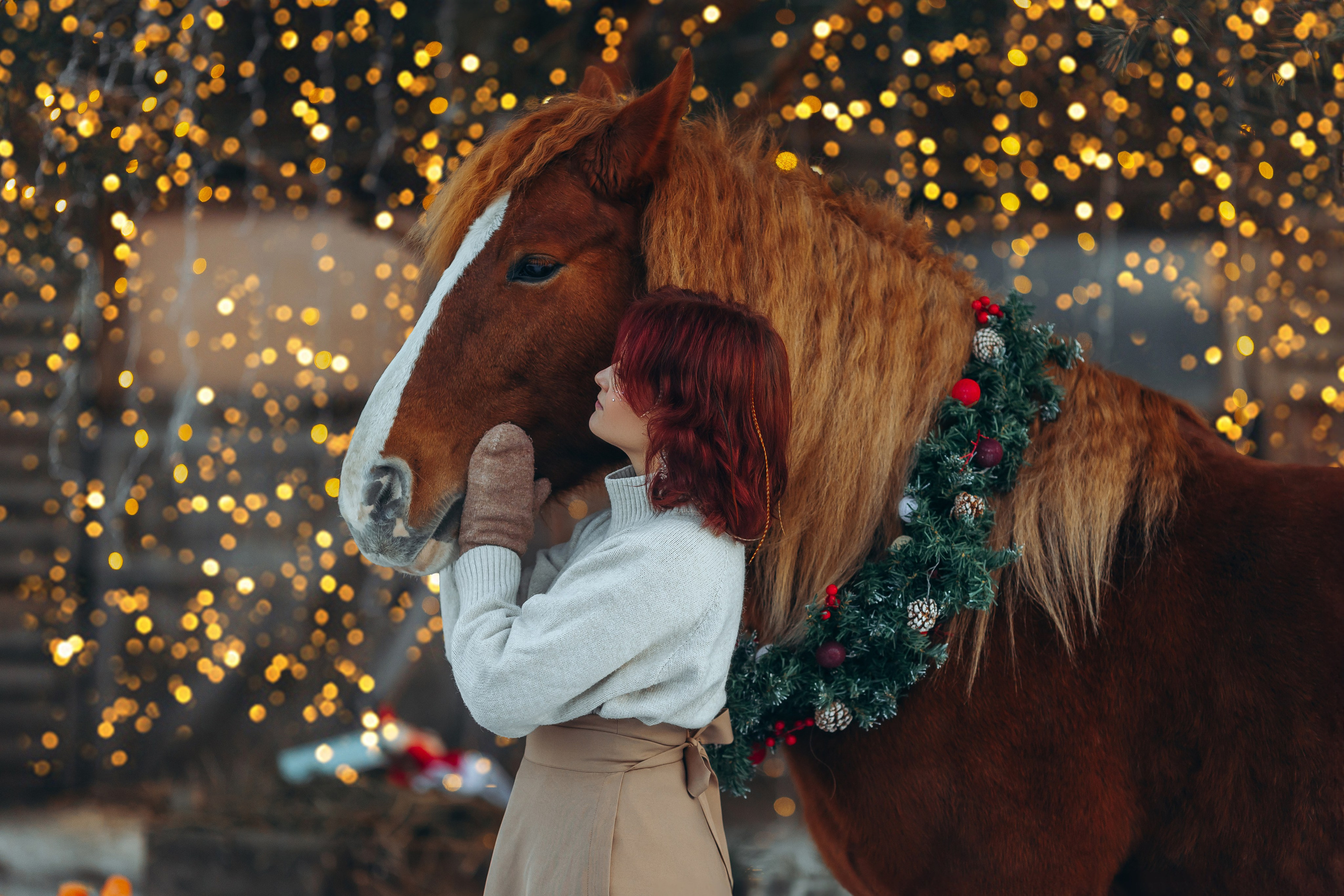 Тариф новогодний 2024. Анна Молчанова конный фотограф в Тюмени | фотосессии с лошадьми Тюмень