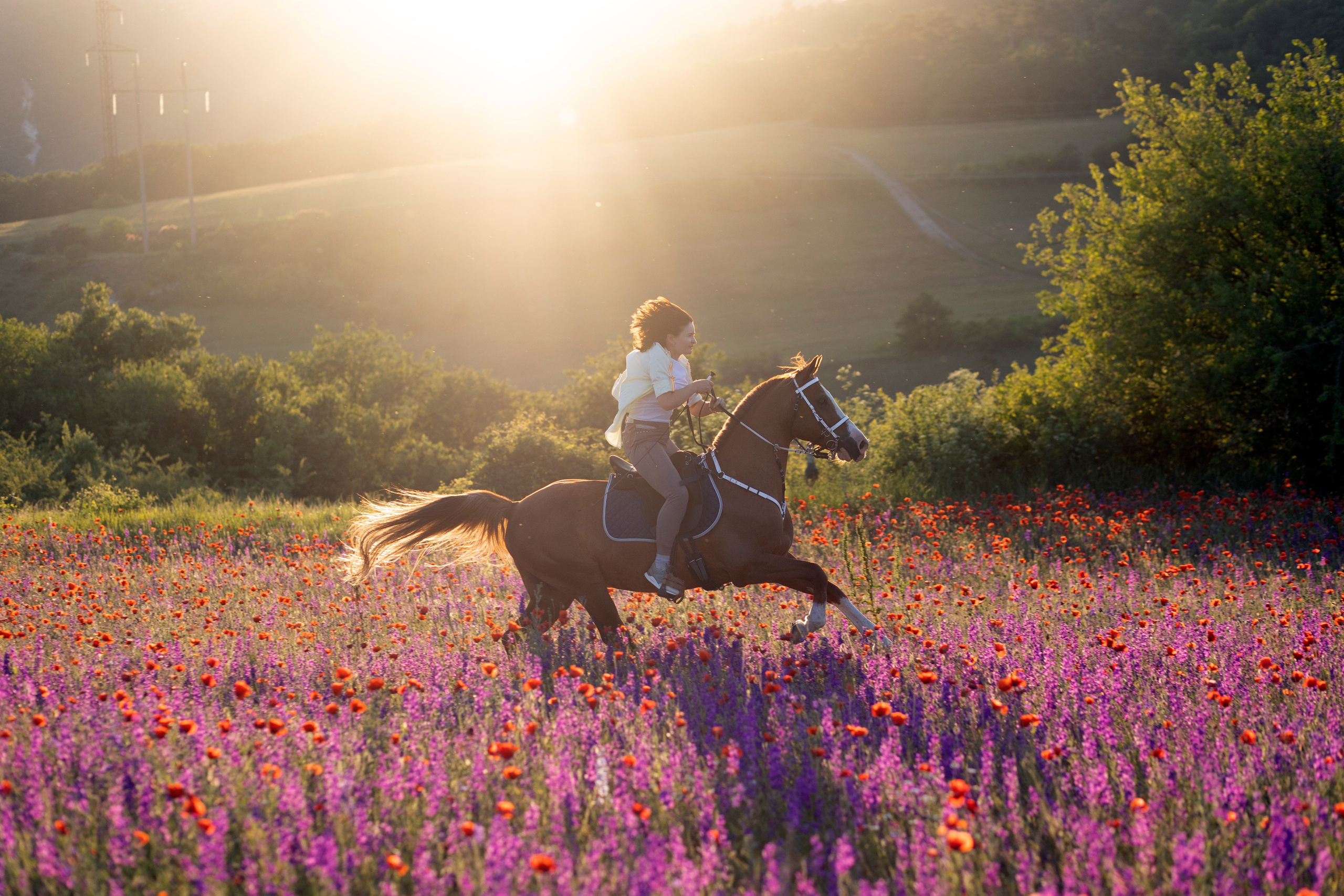 Ваш фотограф в Крыму | Соболевская Анастасия