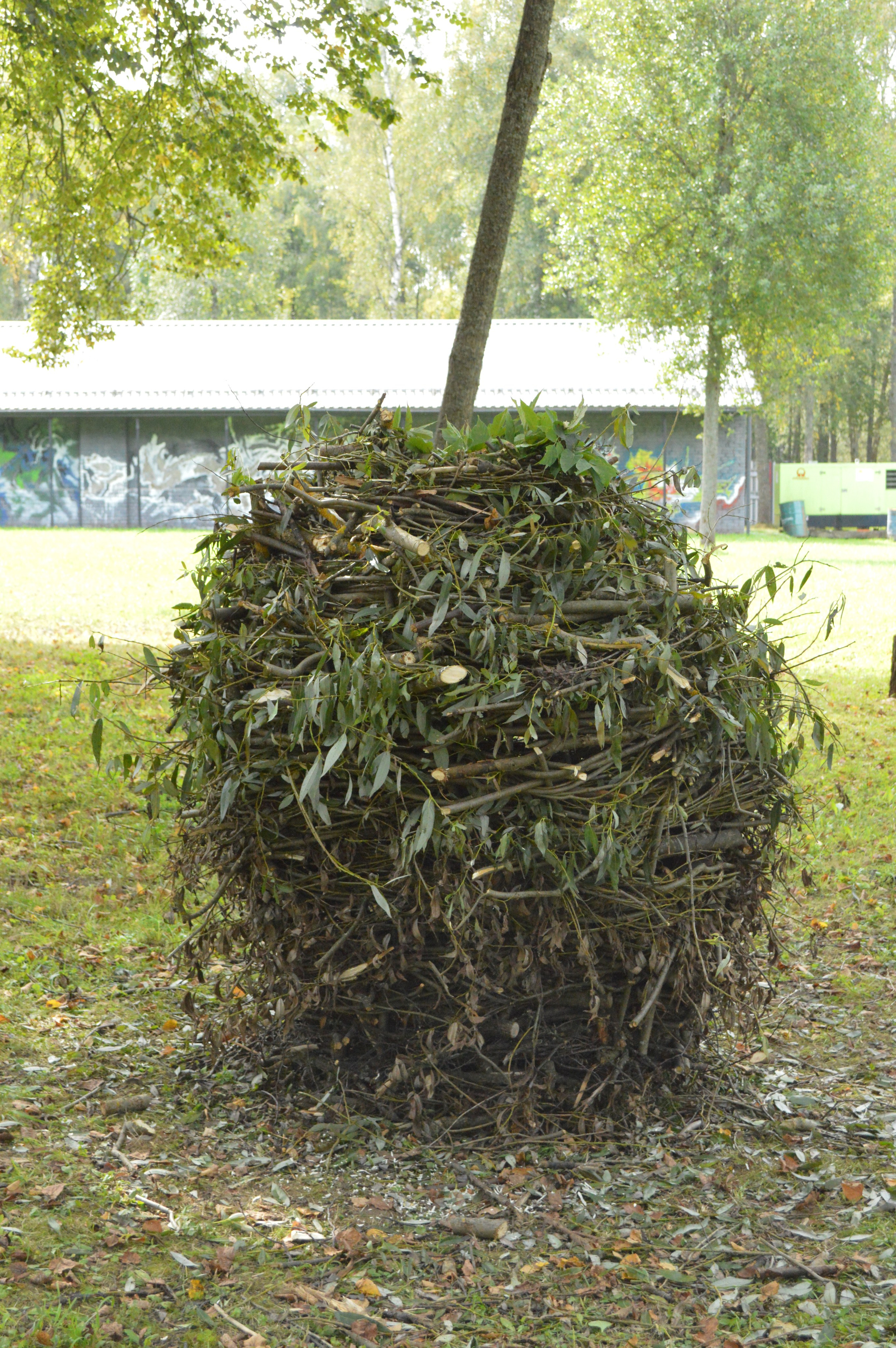 Резиденция «Белые аллеи» 2023. Лилия Ким. Междисциплинарный художник