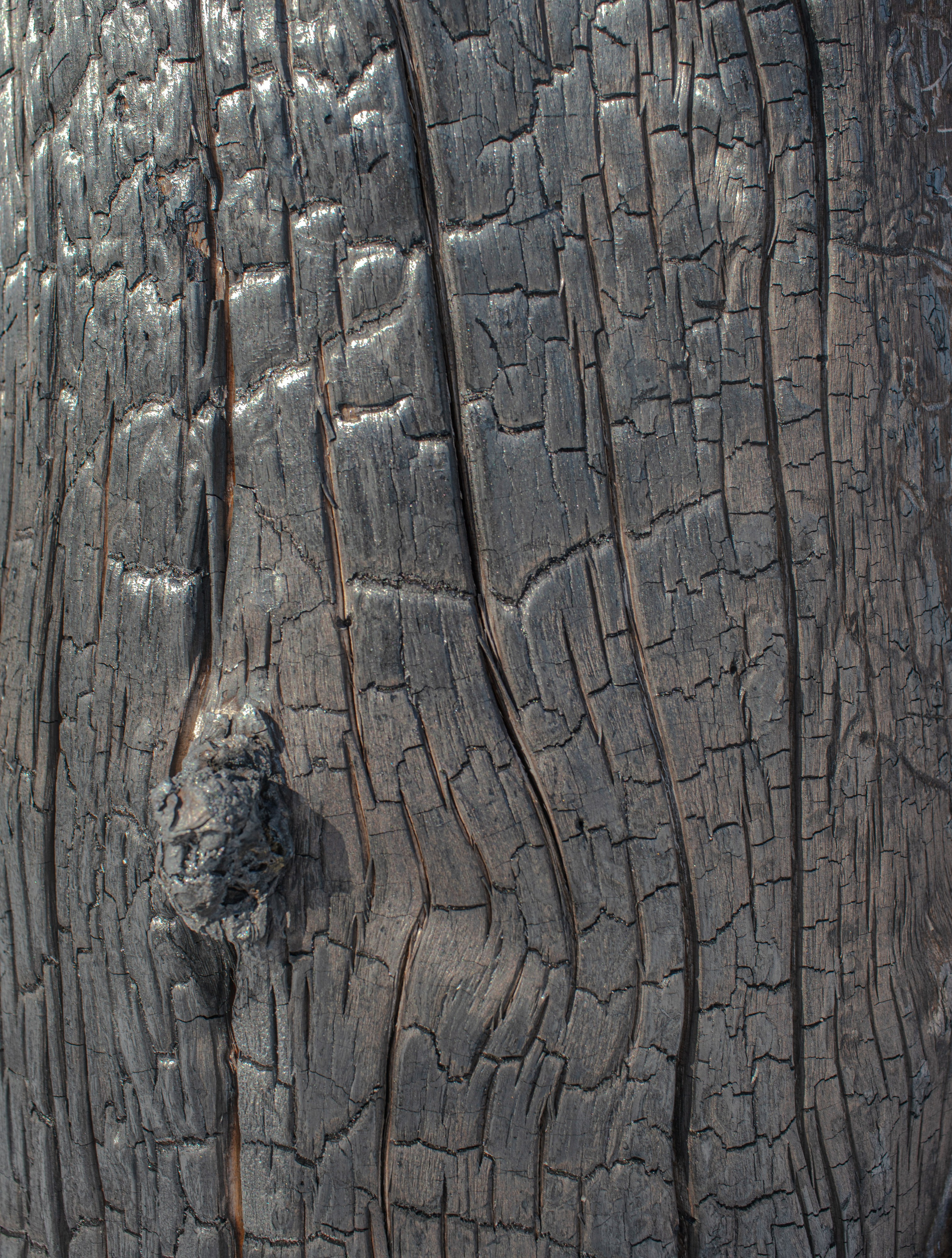 Фотопроект о семейной памяти и травме. Vasily Pindyurin visual artist