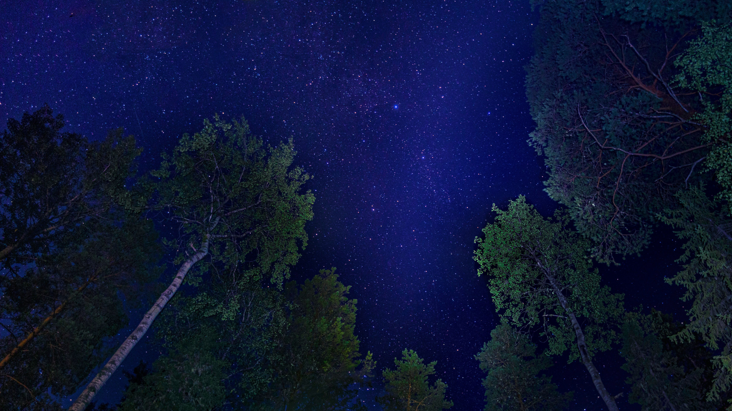 Сияние Коми. Пейзажная и архитектурная фотография в Туле, Татьяна Silva