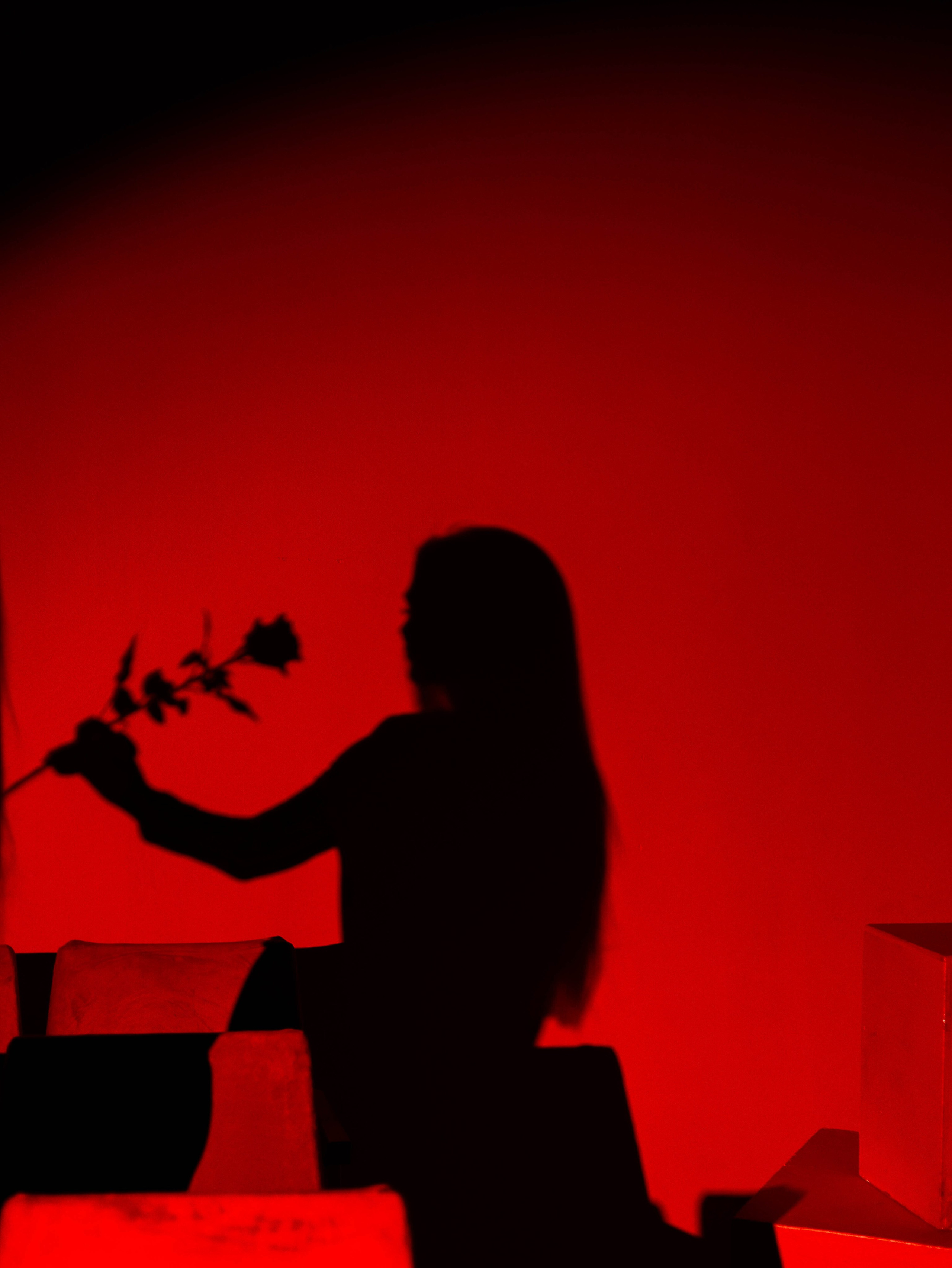 Фотограф из города Санкт-Петербург Голенцова Диана