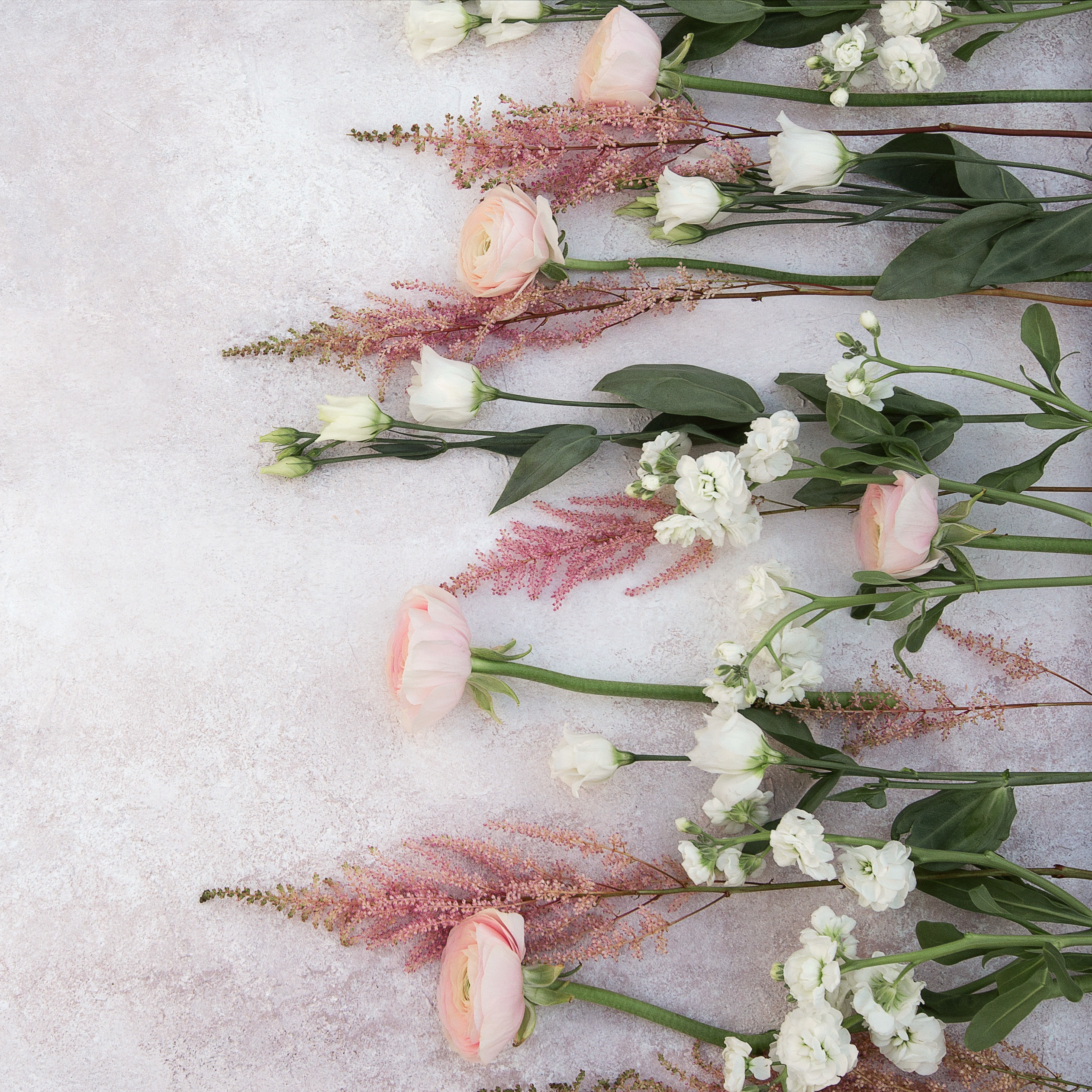 Предметная Фотосъемка Цветов. Фото, которые продают