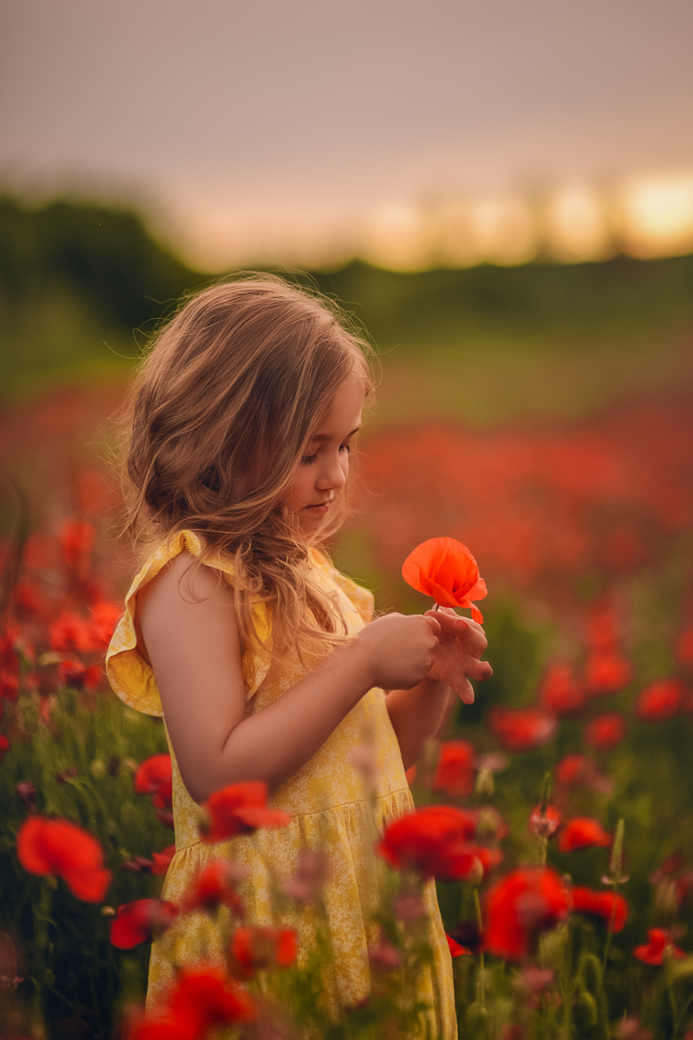 Provence. Photographer in Provence Julia Lipiainen