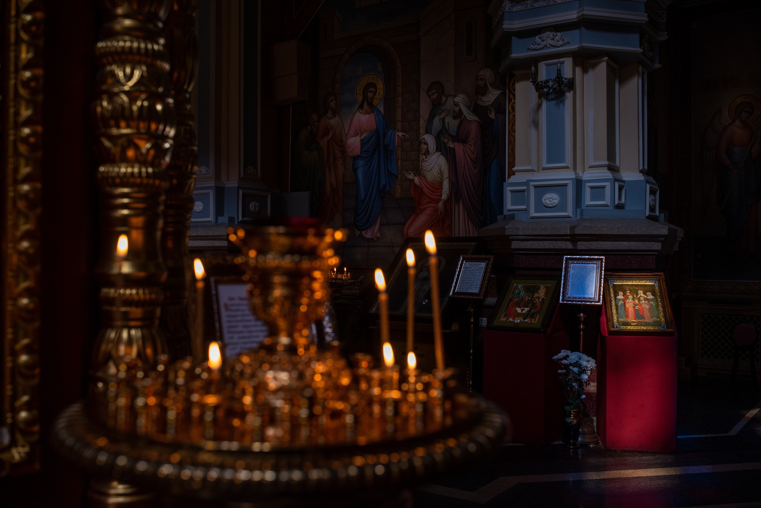 Репортажный, спортивный и документальный фотограф в Ташкенте Алексей Елисеев