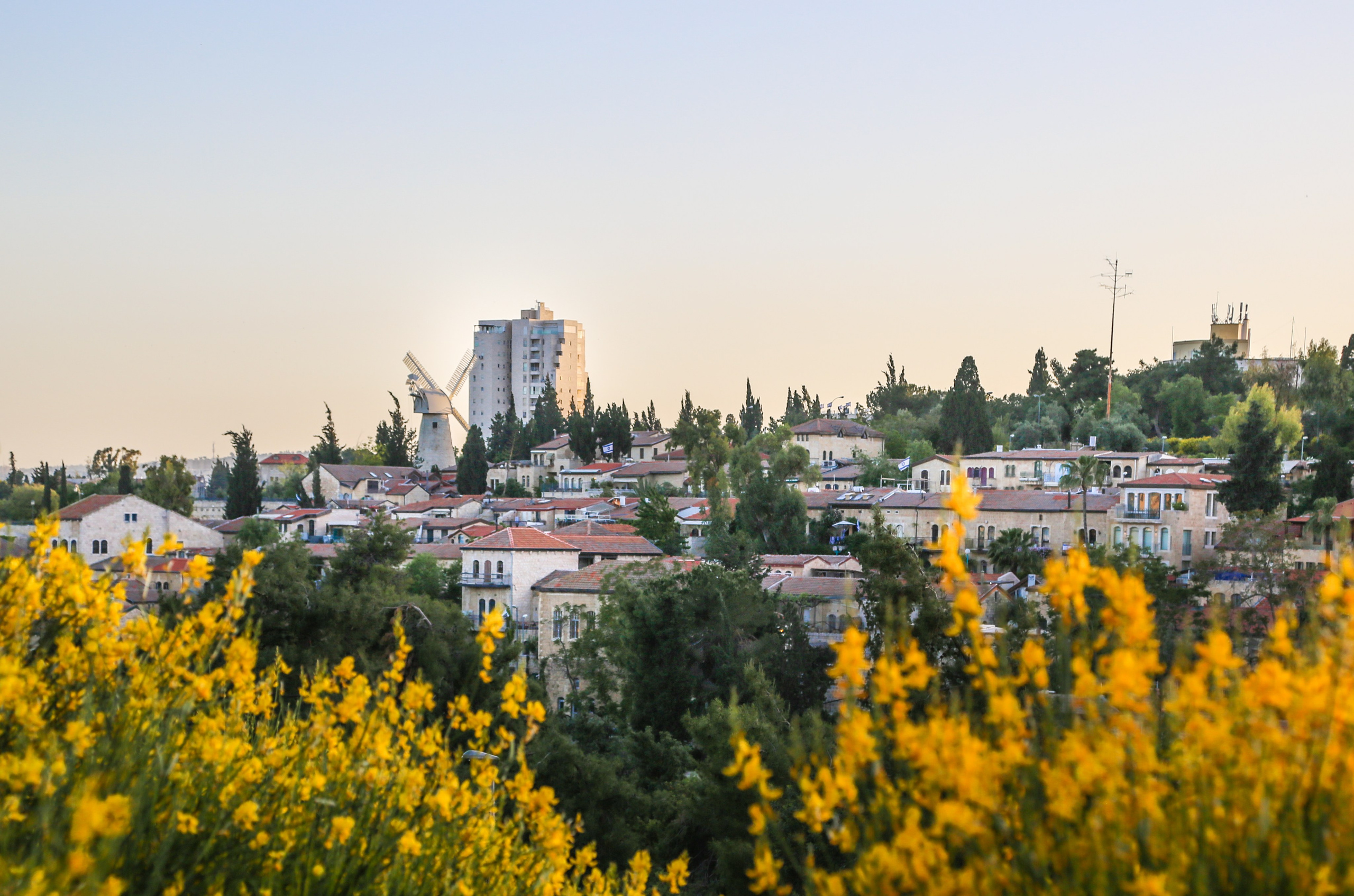 Израиль: «Под небом голубым есть город золотой…». Дарья Письменюк / Darya Leitstern — фотограф, музыкант, журналист, путешественник