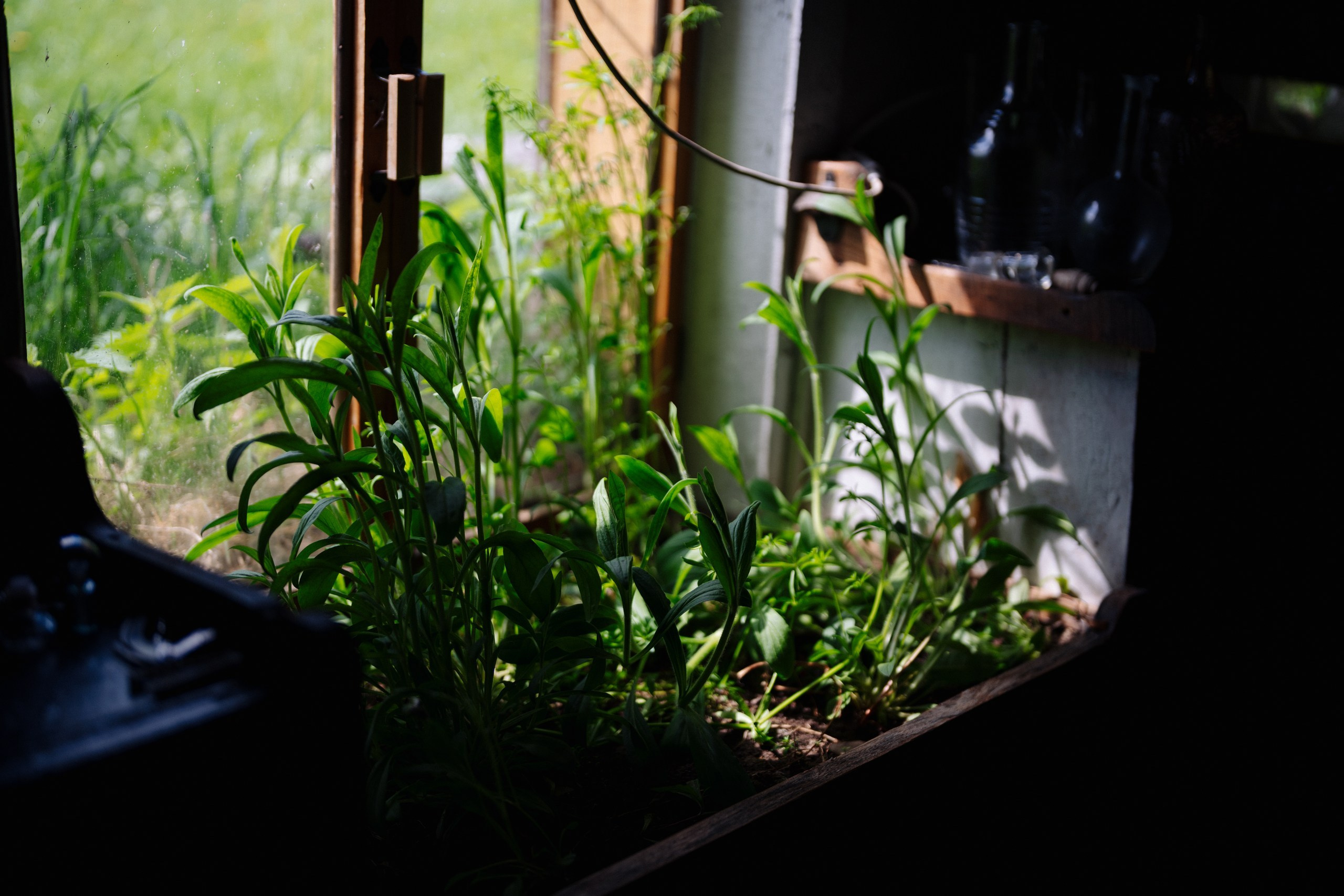 Сюжет № 9|Музей культуры дерева имени Е. И. Яранцева