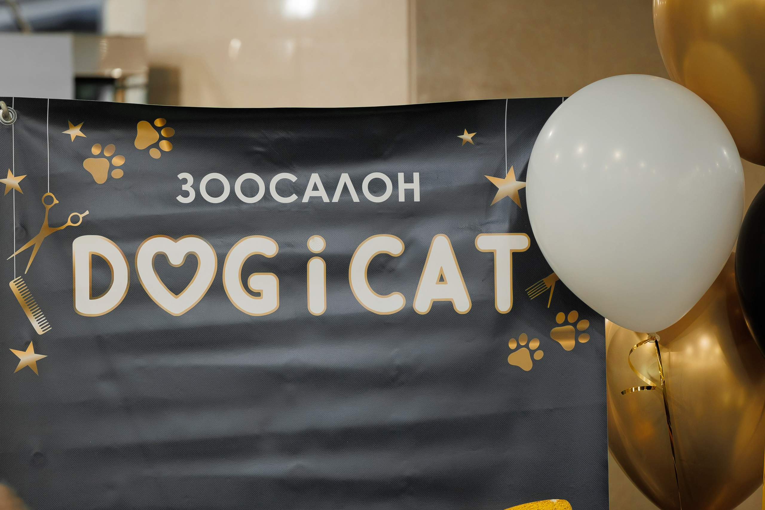 МОДНЫЙ ПОКАЗ. СВОИ. ФОТООТЧЕТЫ-СОБЫТИЯ-МЕСТА