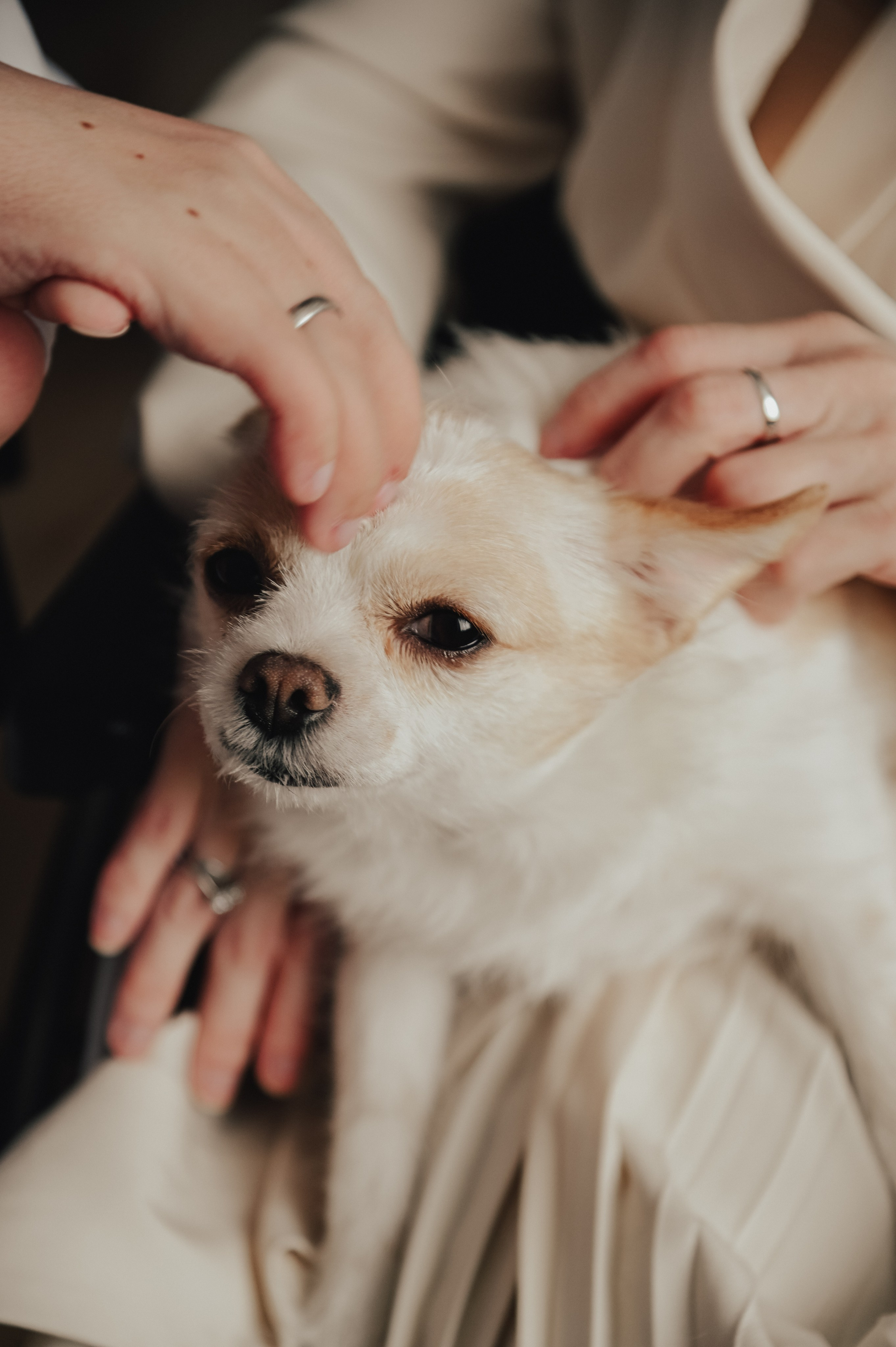 Лёля и Валентин. Фотограф Ольга Морятова