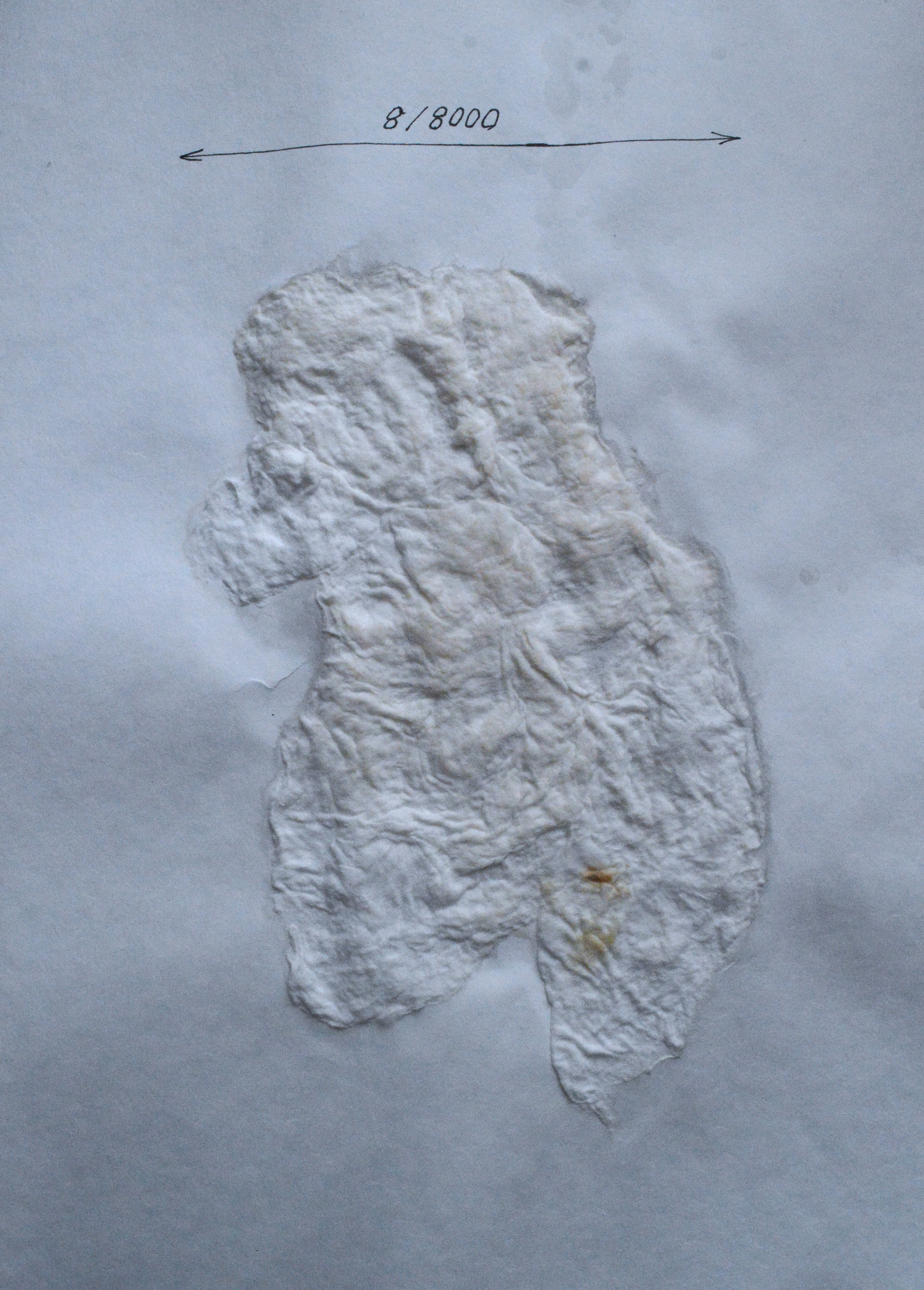 8000. 2025. Лилия Ким. Междисциплинарный художник