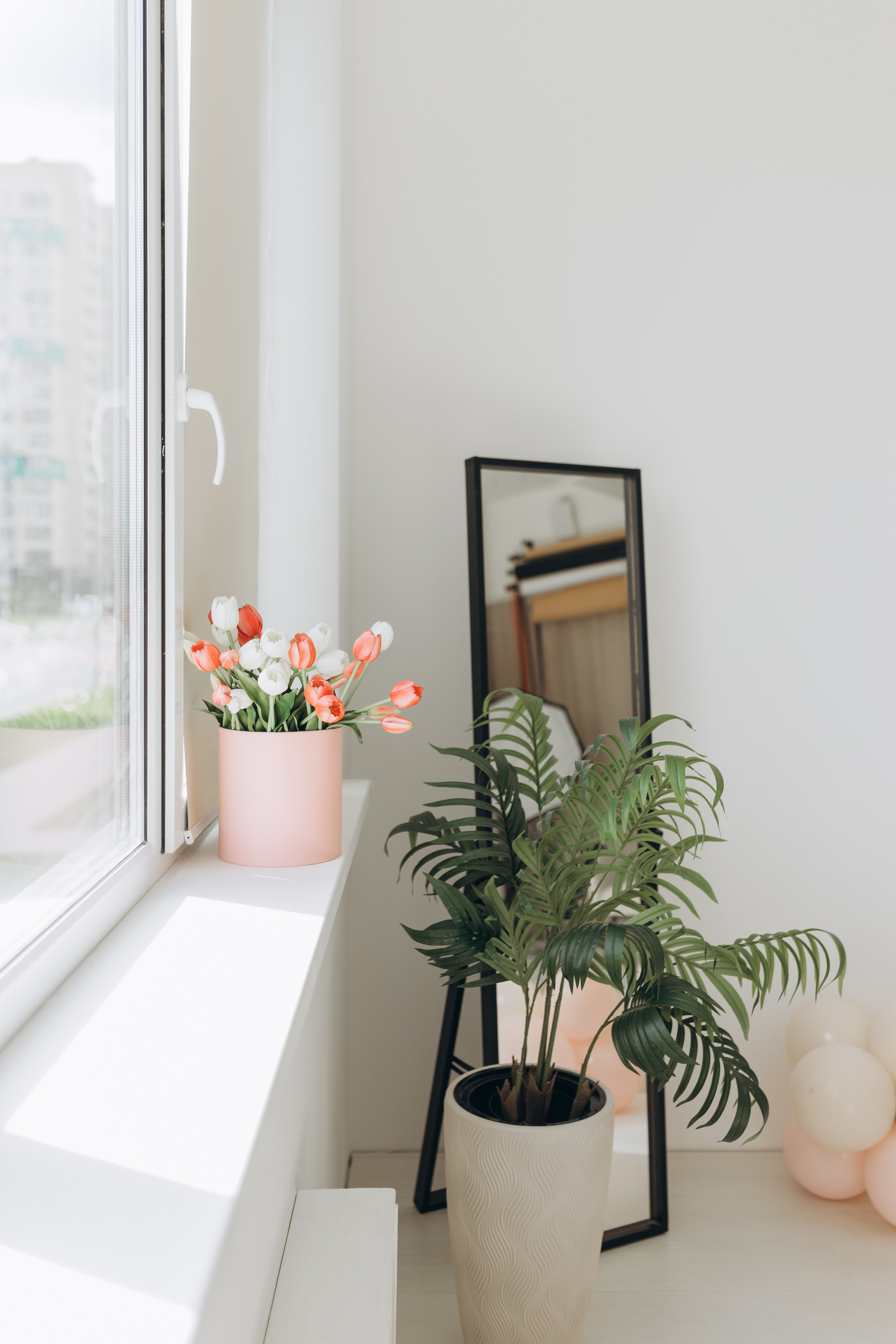 Фотостудия «Птичка» Мытищи,