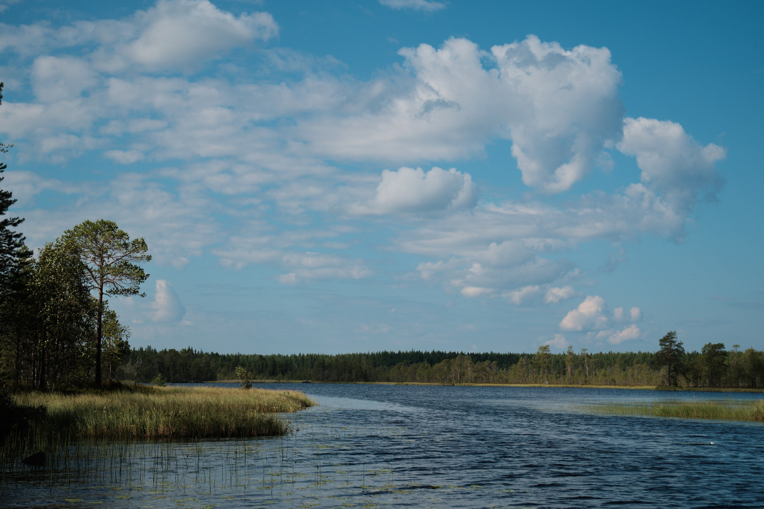 Главная. Юрий Березнюк. Фотограф в Новороссийске. Фотожурналистика