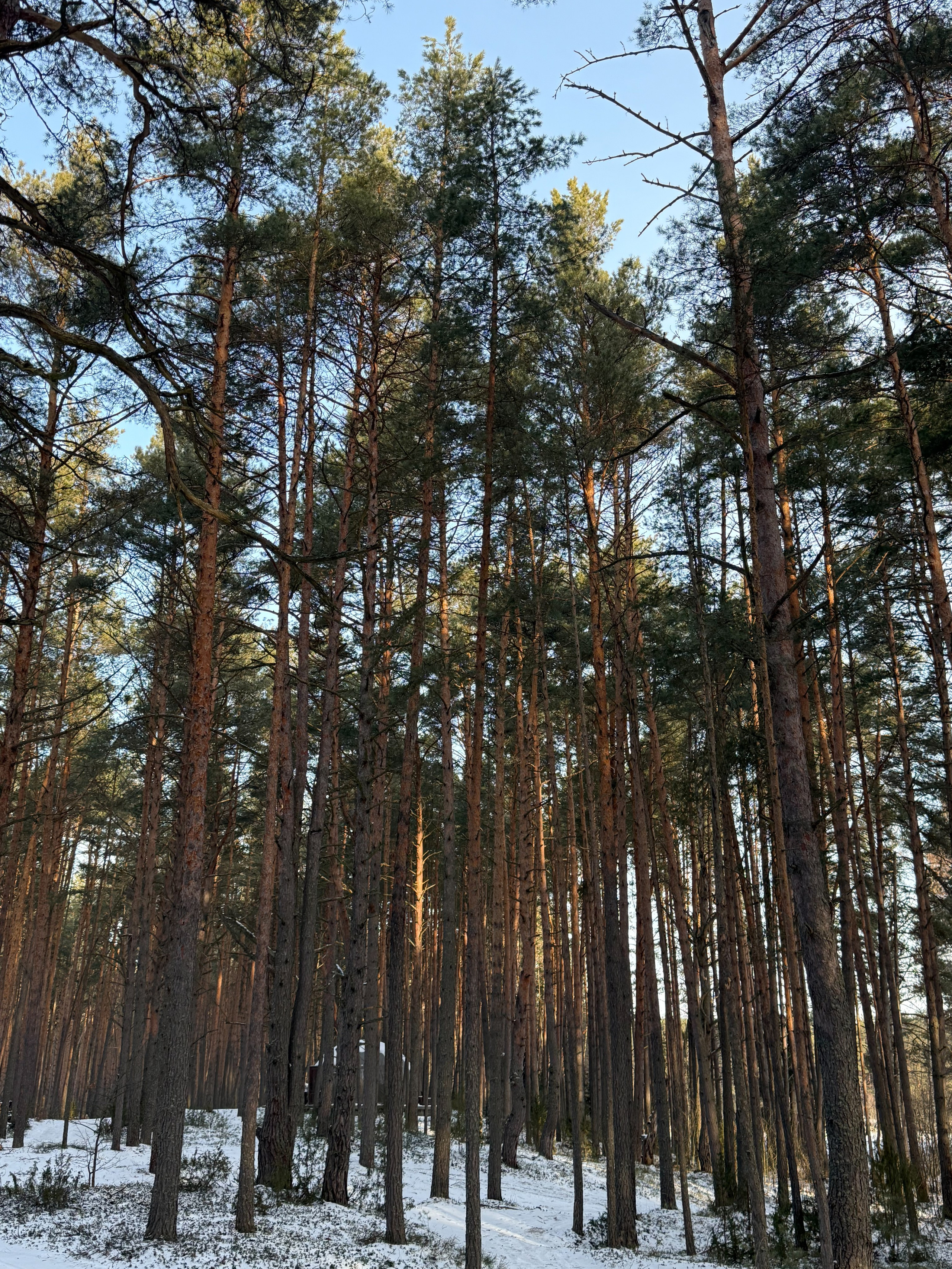 Куда поехать на выходные?. Свадебный фотограф Марина Попова