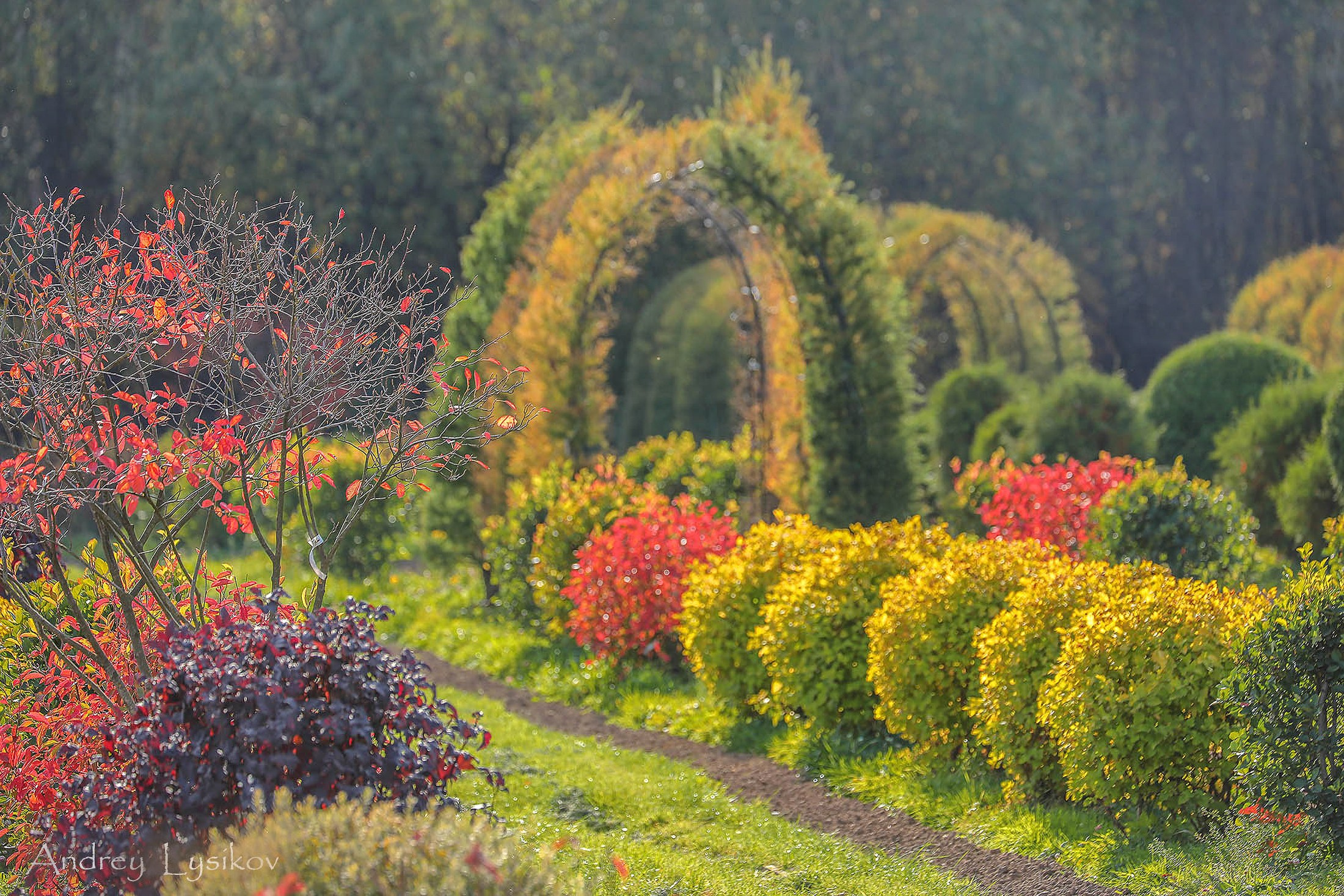 Ландшафтный фотограф Андрей Лысиков, Москва