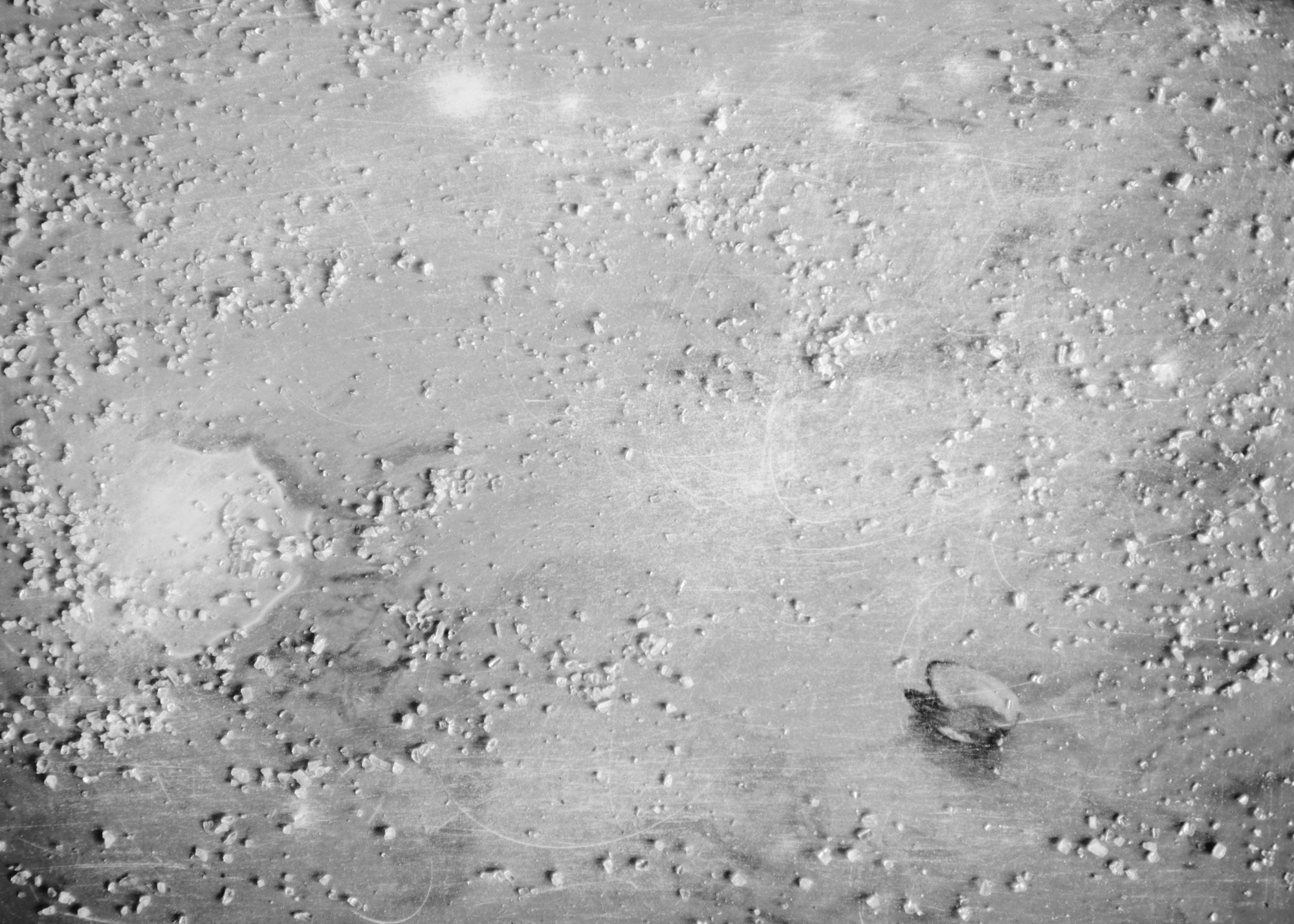 «Кошачий остров говорит со мной» Ольга Дякина (Санкт-Петербург). Выставочный проект «Опыт касаний» (офлайн и онлайн) Калининград