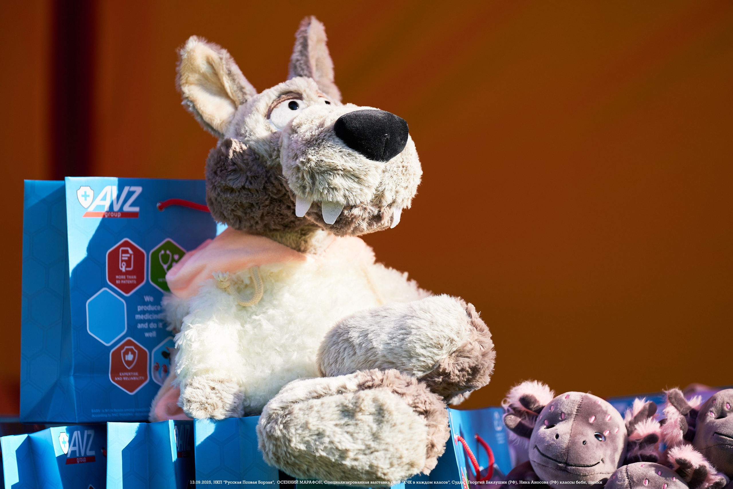 ОСЕННИЙ МАРАФОН | Специализированная выставка породы Русская Псовая Борзая ранг "КЧК в каждом классе"