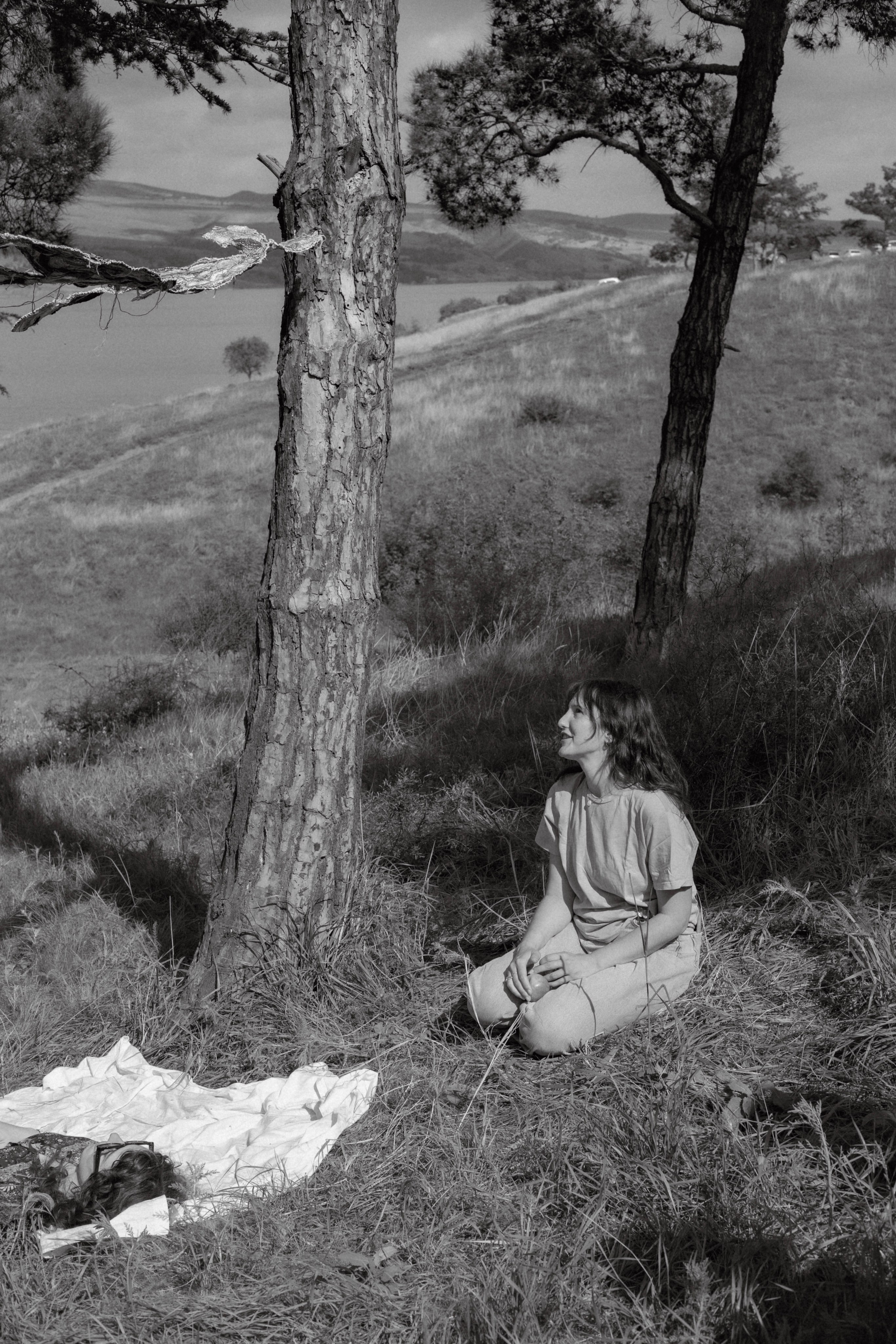 The exhibition under trees. KST