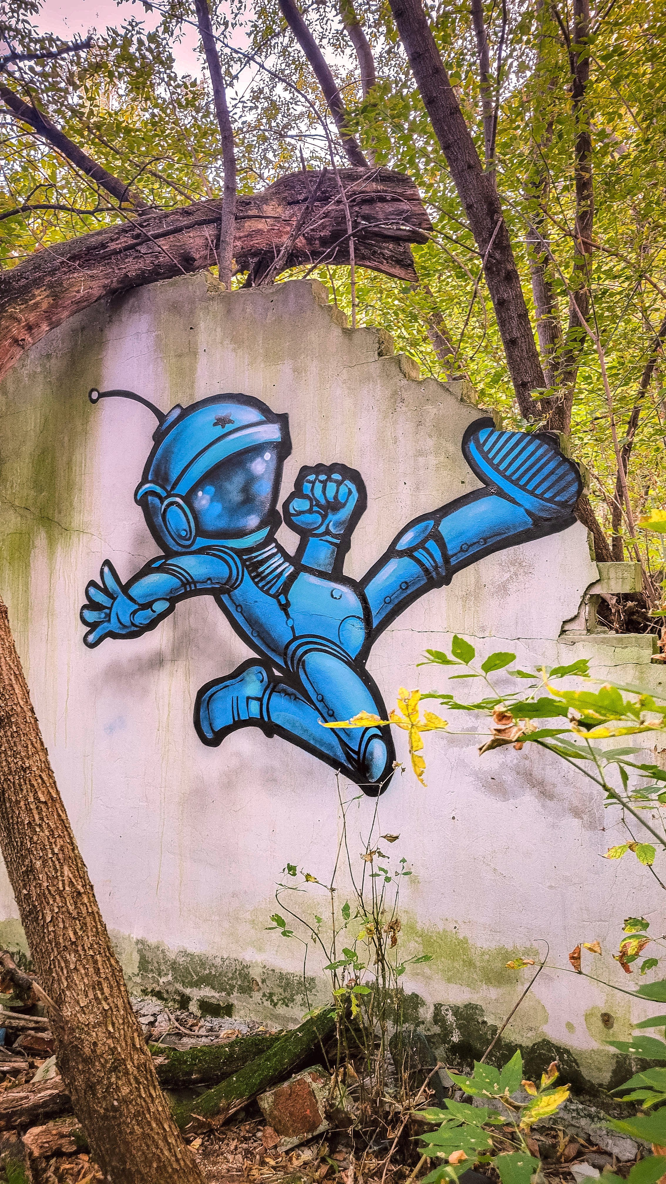 Graffiti. Alexander Stan Shimanov