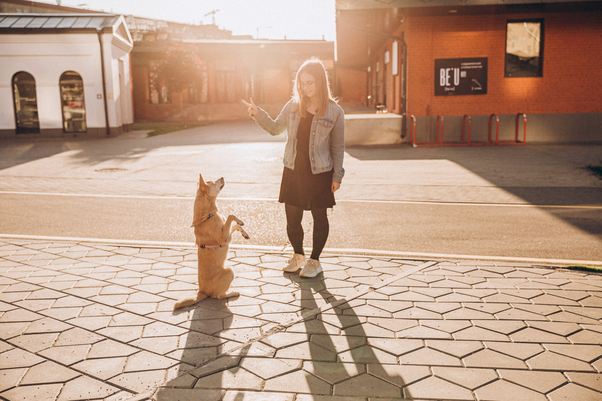 Фотограф-анималист в Москве Соломонова Варвара