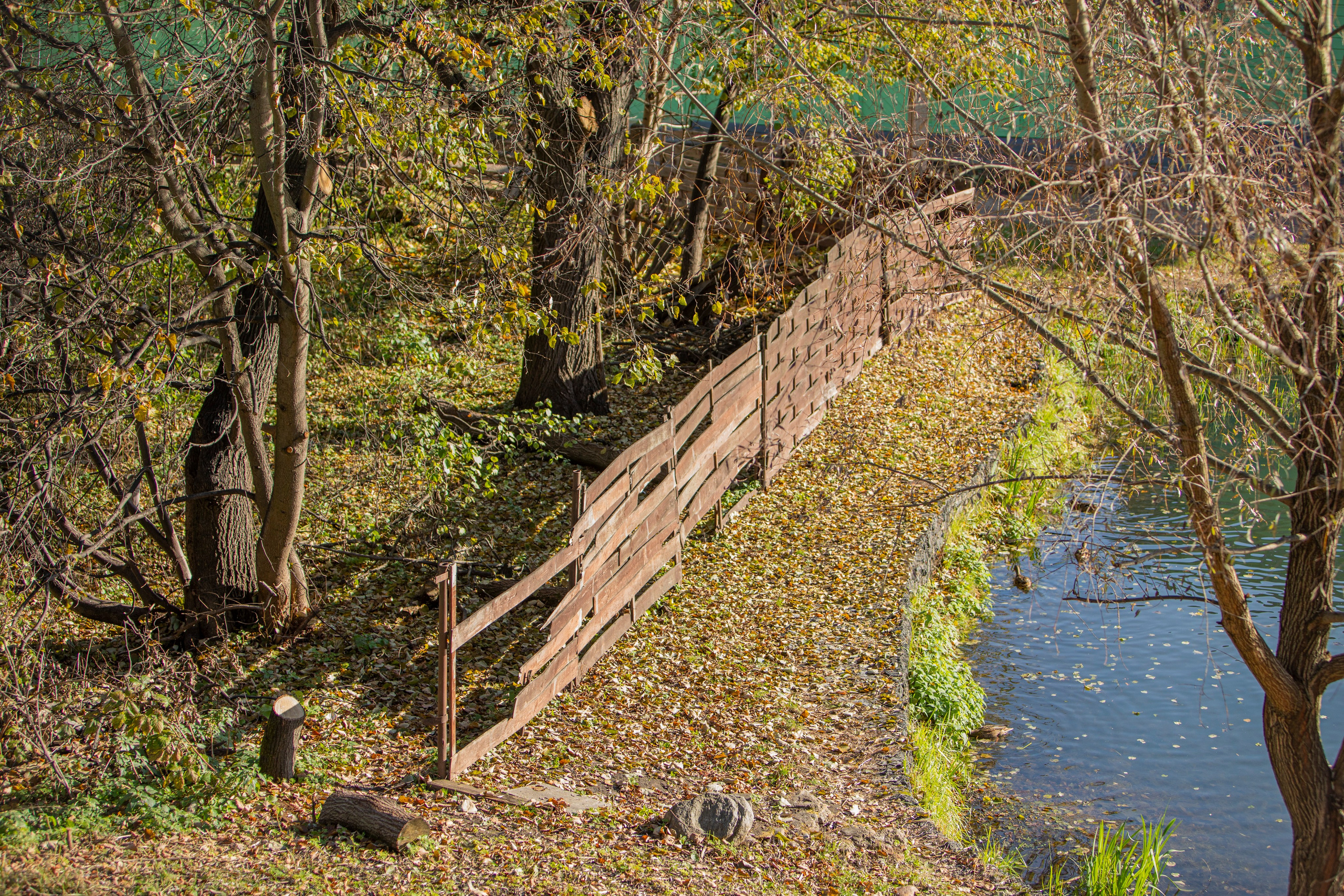 Воскресенье в г. Дмитров. Фотограф Сергей Ловкий