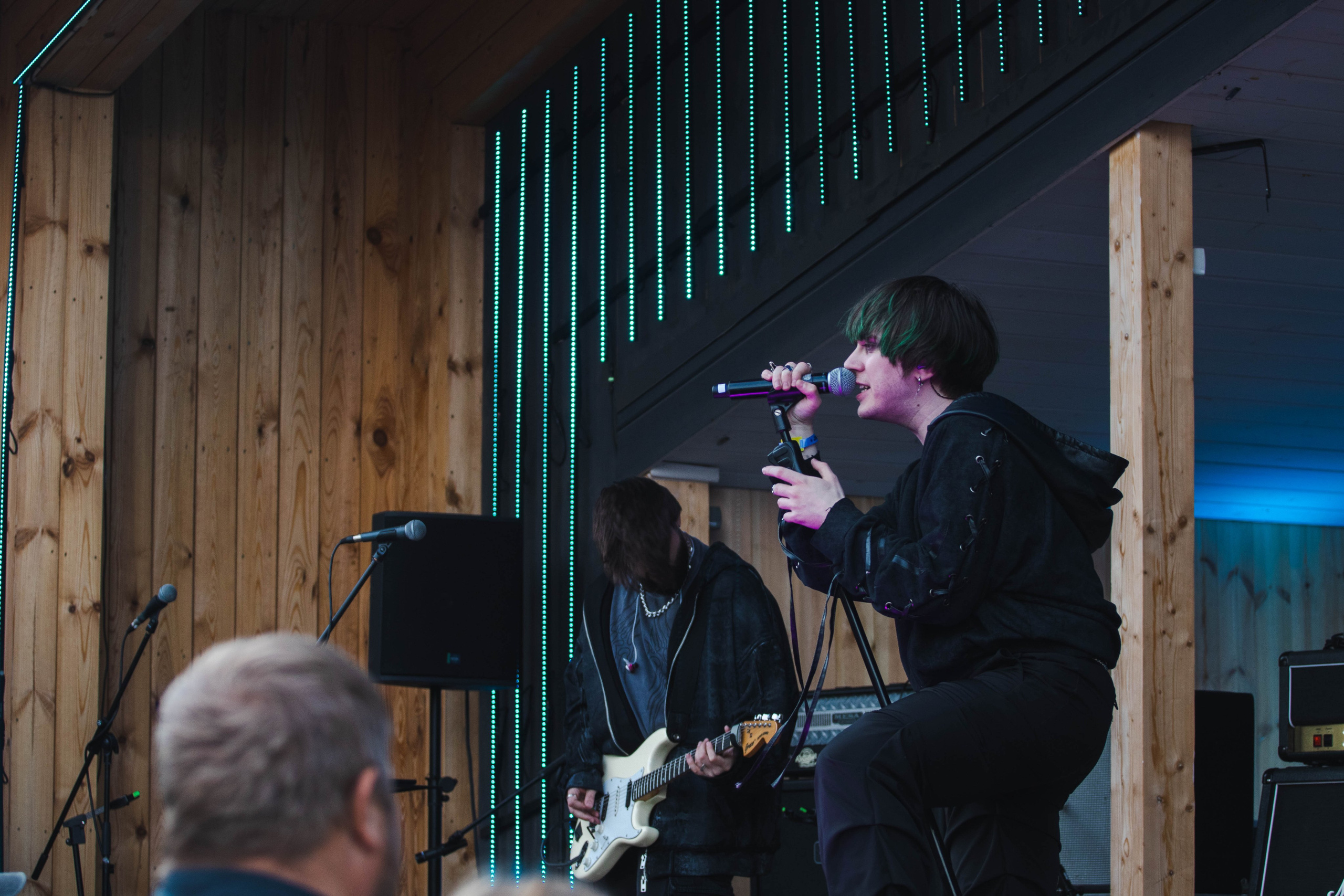 Дикая мята 2025. Концертный фотограф