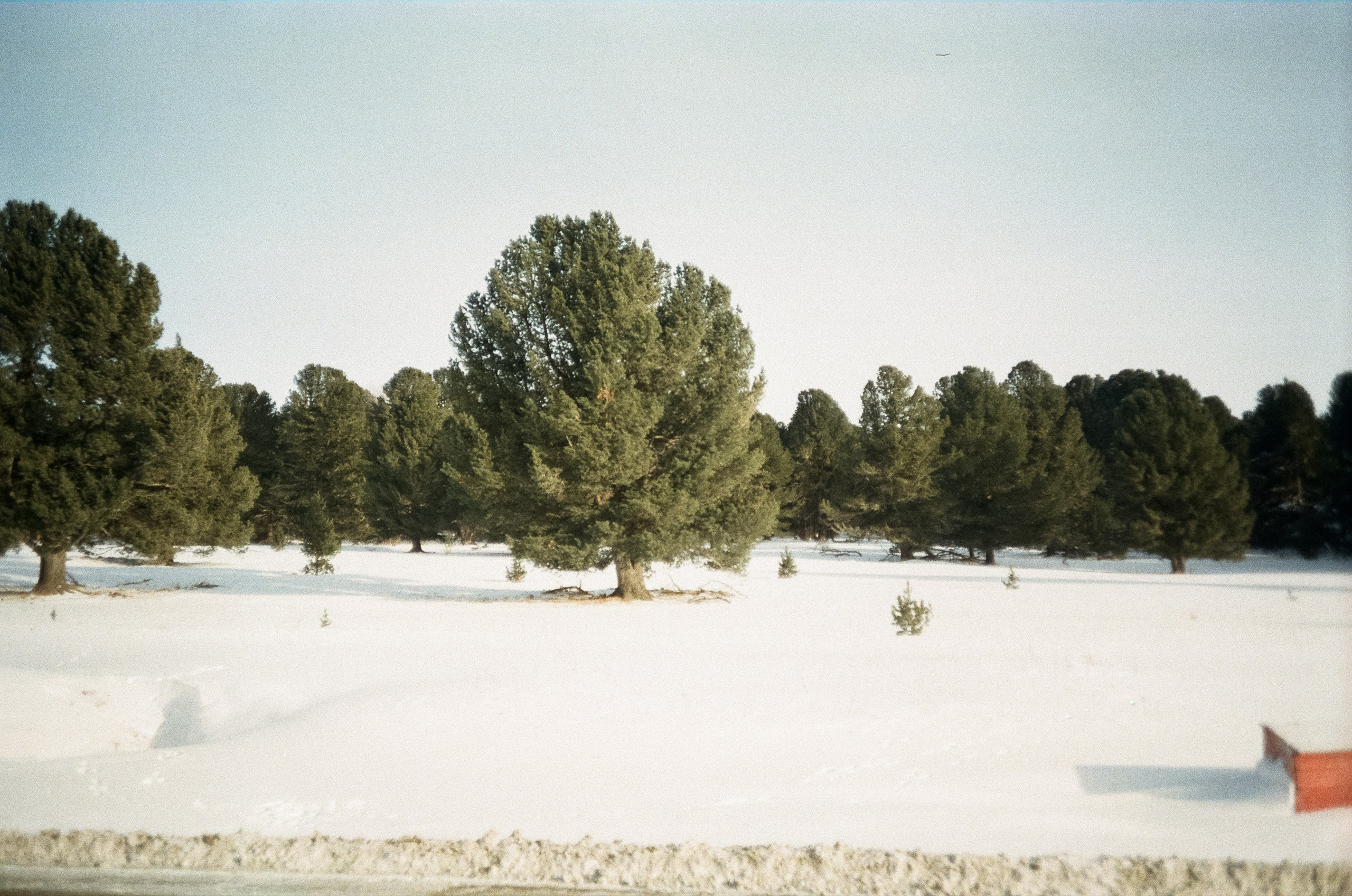 Семинский перевал, дорога из Land Cruser / 19 декабря 2023 года (-18℃)