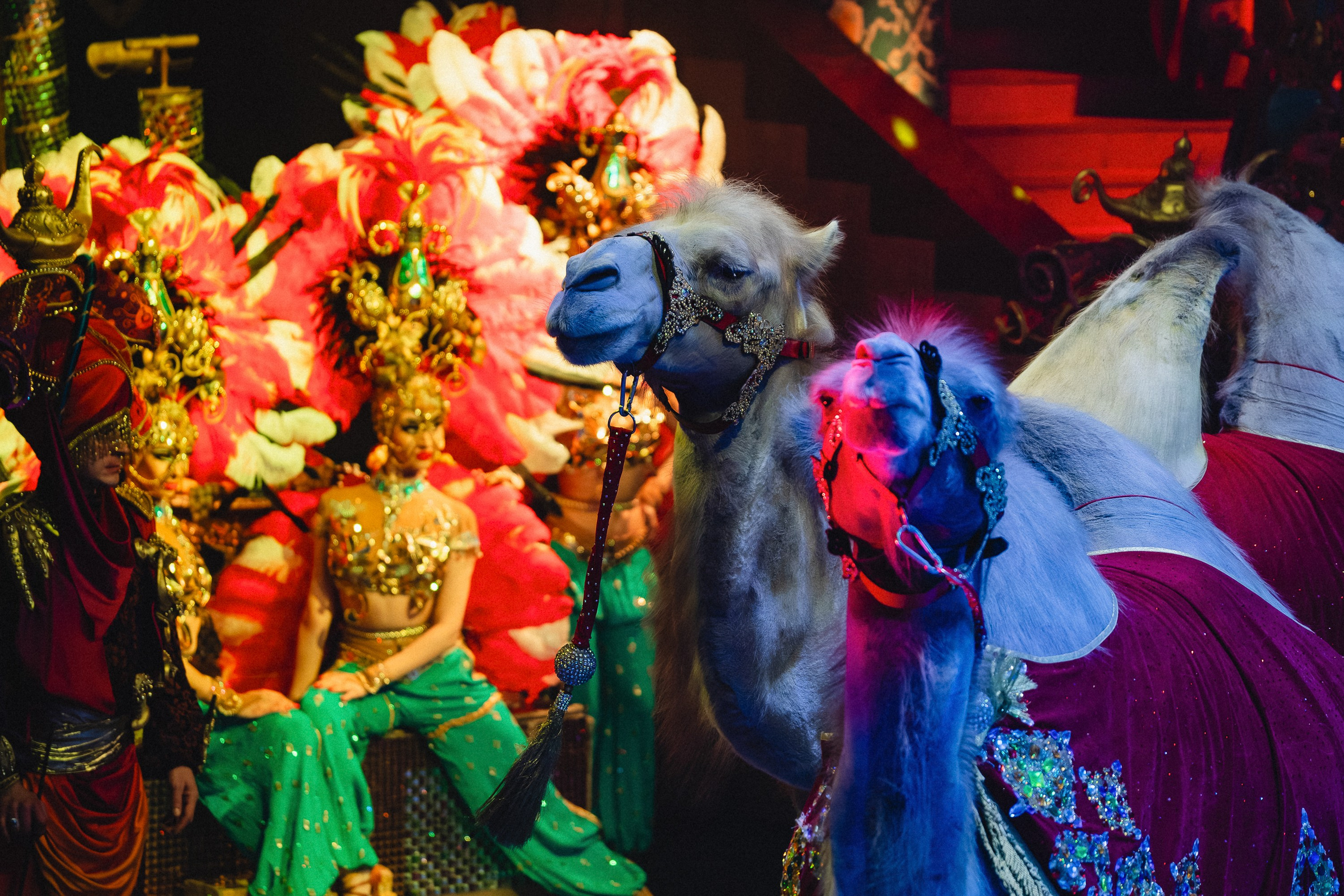 Пресс-показ шоу «Песчаная Сказка». Воробьева Ксения — Спортивный и танцевальный фотограф Новосибирск