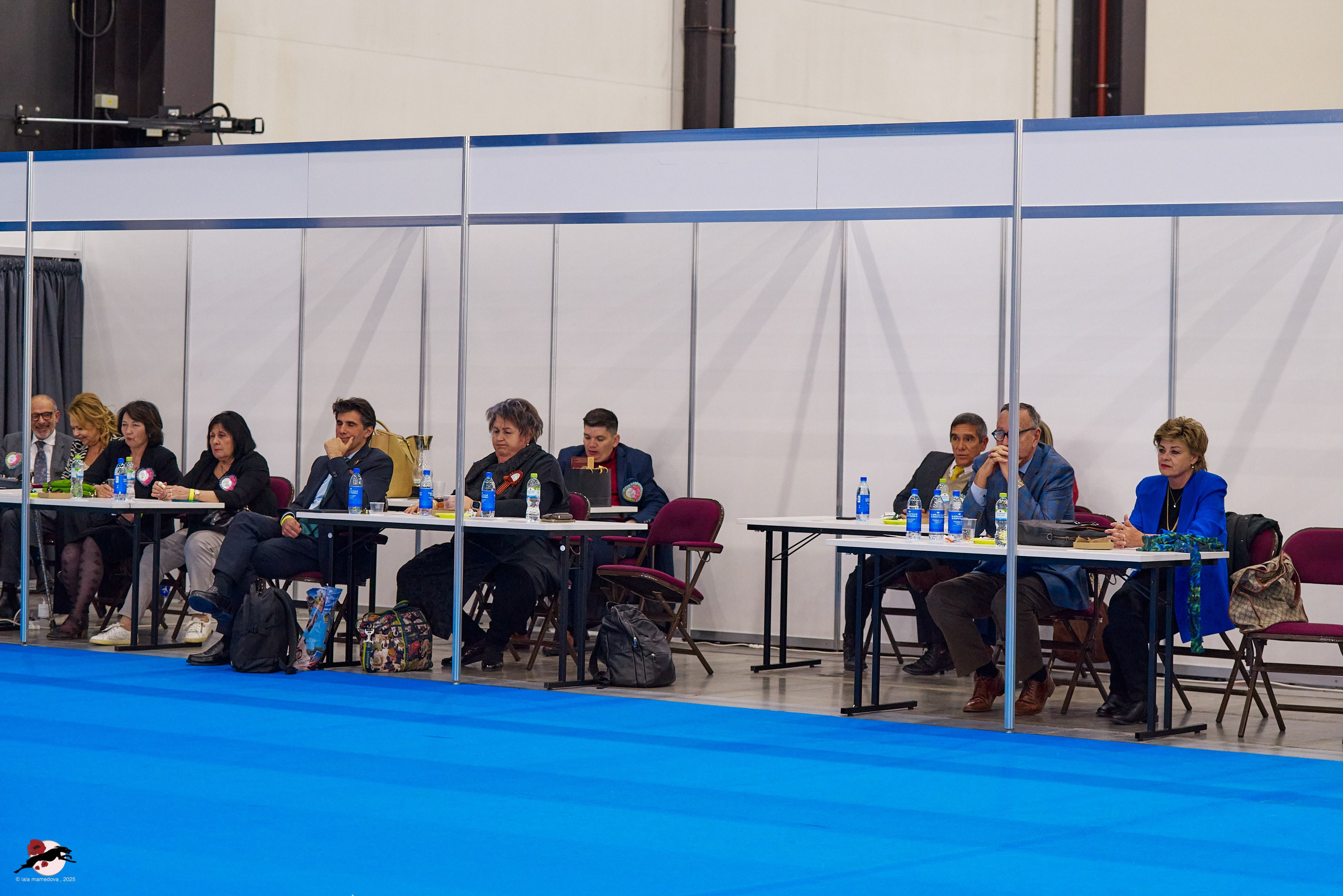 ГРАН ПРИ «ВЕСЕННИЙ ПЕТЕРБУРГ» & «СУПЕР КУБОК «ЭЛИТЫ»-2025»