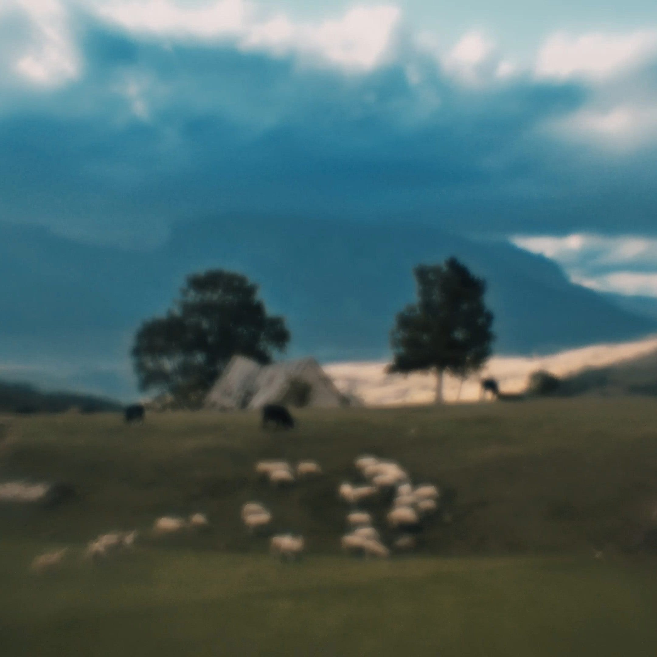 MONTENEGRO. Eduard Kopysov — International visual artist