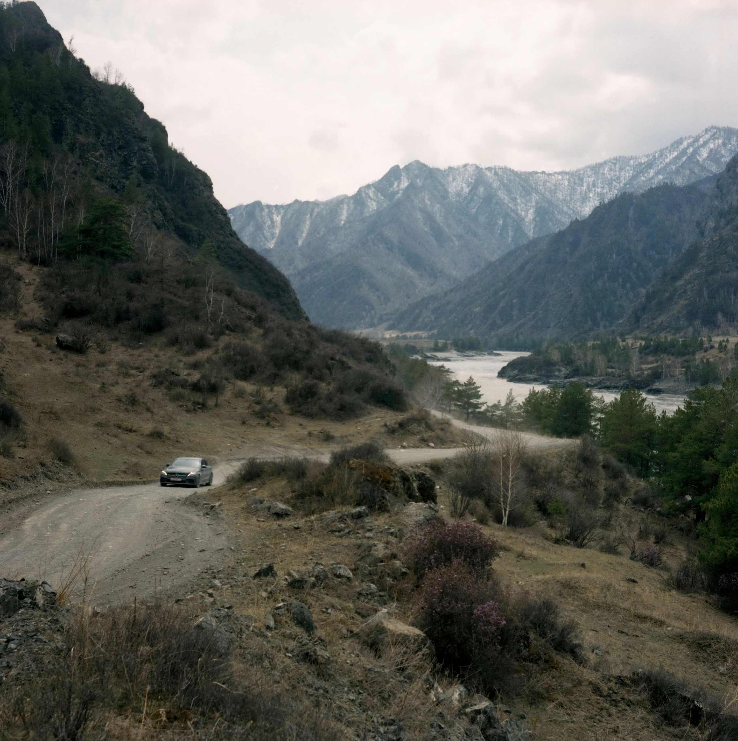 Алтай, Россия. Elena Nikitina. Photo Artist. Film photography. Prints