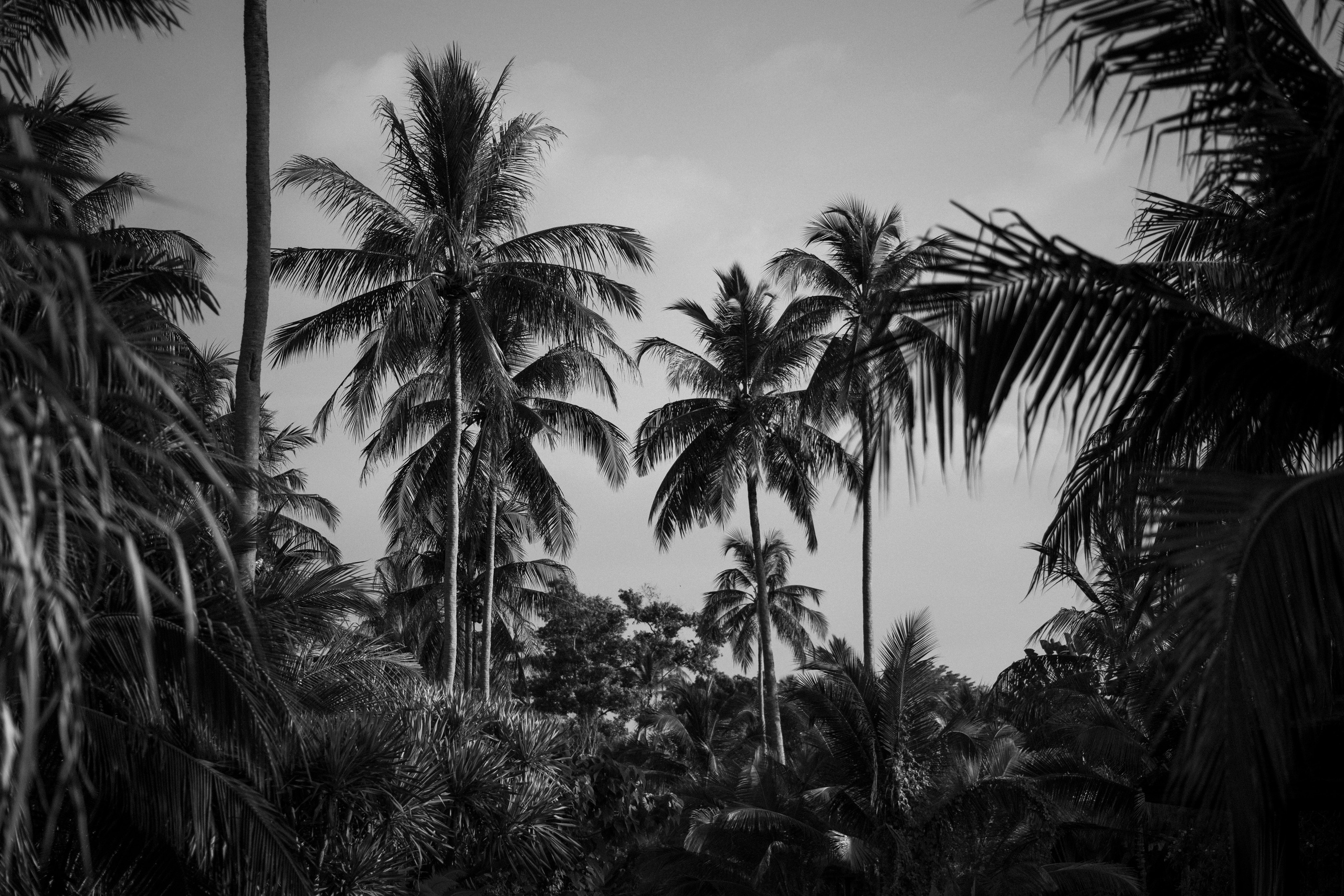 Таиланд. Фотограф Даша Омельченко