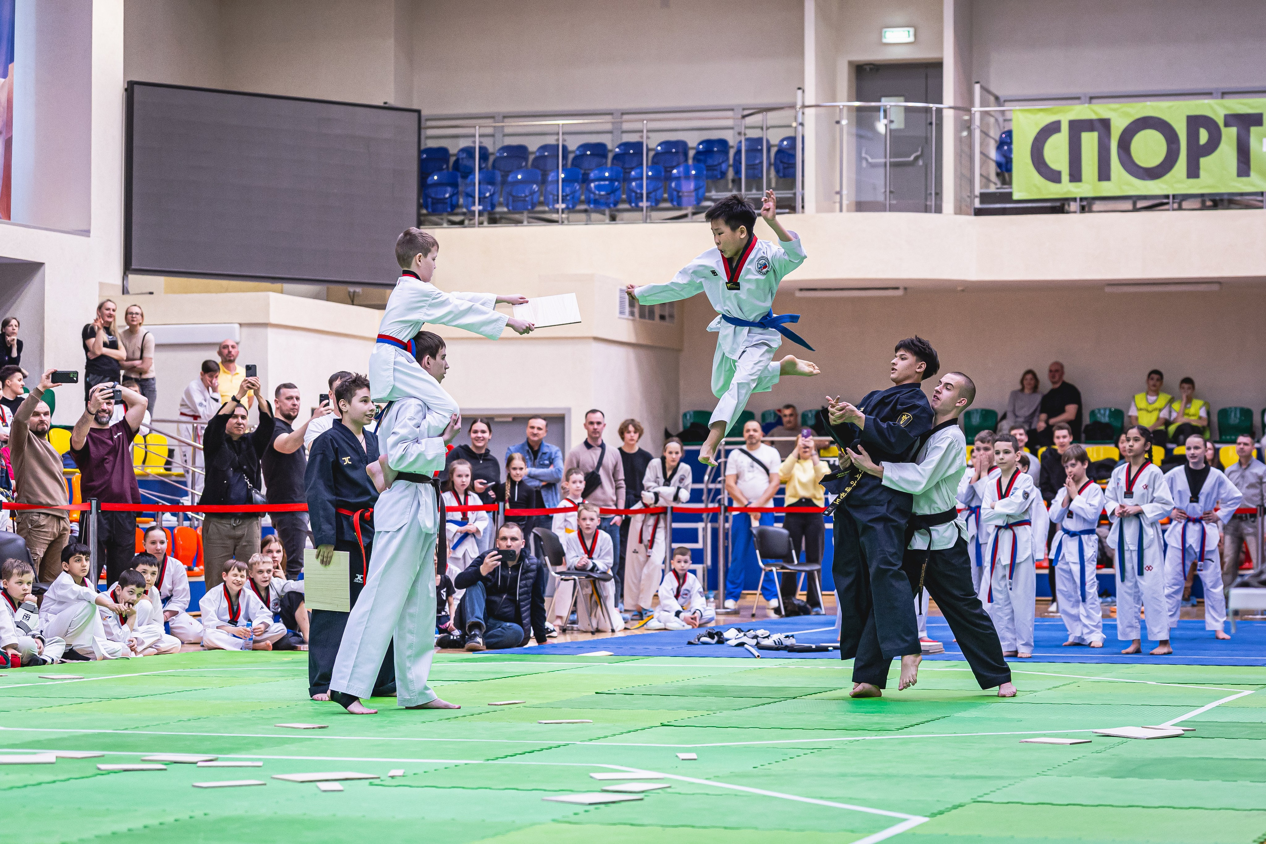 Турнир ВДЮФСОО «ФЕДЕРАЦИЯ ДЕТСКОГО ТХЭКВОНДО РОССИИ» и МОО СПКЕ «ЭРИДАН» по «СПОРТИВНОМУ БОЮ КЕРУГИ». Спортивный фотограф Максим Серегин