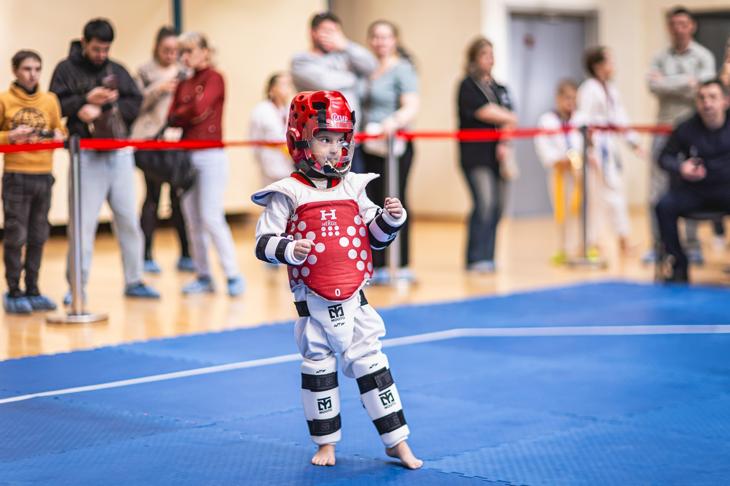 Турнир ВДЮФСОО «ФЕДЕРАЦИЯ ДЕТСКОГО ТХЭКВОНДО РОССИИ» и МОО СПКЕ «ЭРИДАН» по «СПОРТИВНОМУ БОЮ КЕРУГИ». Спортивный фотограф Максим Серегин