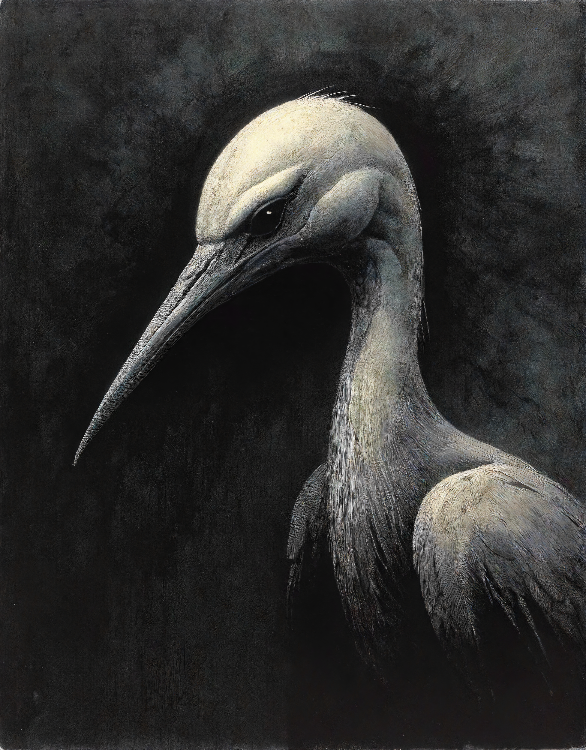 Постеры. Портретный фотограф