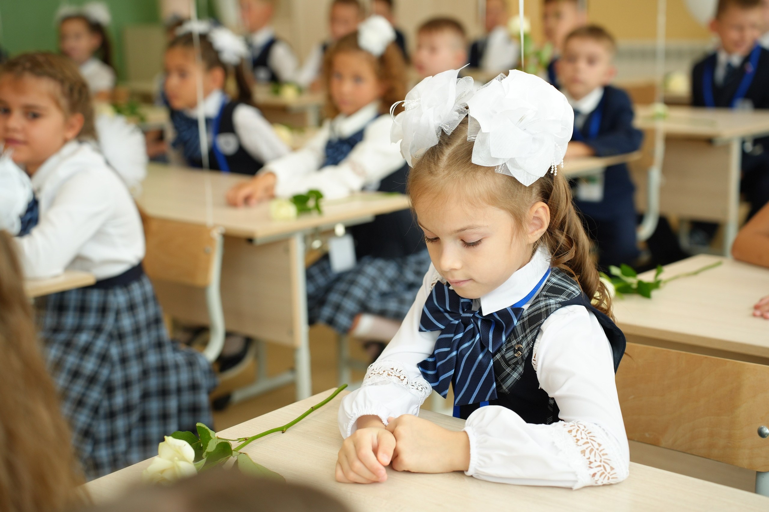 Фотосессия первоклссников в Воронеже. Фотограф для семей и экспертов в г. Воронеж Ирина Круглова