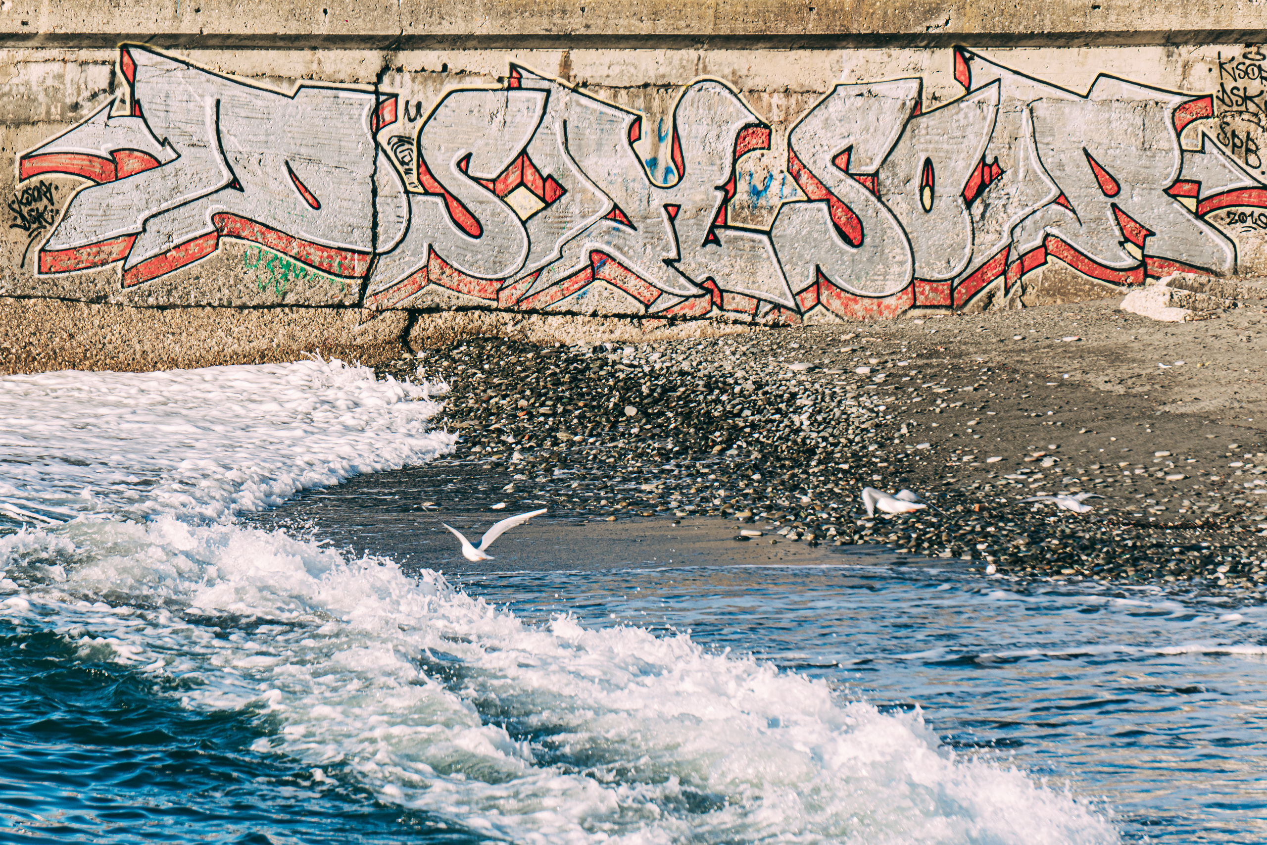 Зима в Сочи. Наталия Баранова — профессиональный фотограф в СПб и Москве