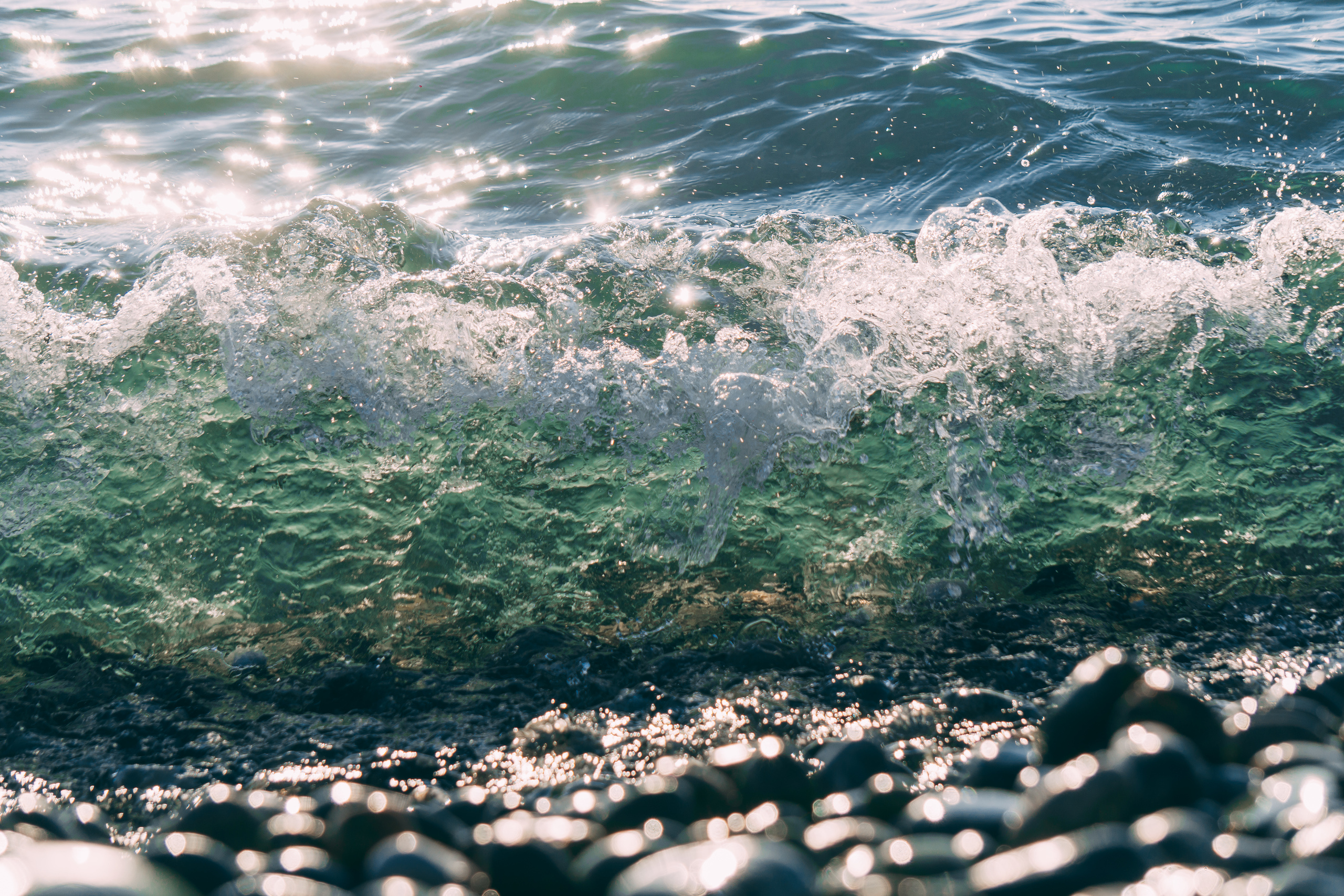 Зима в Сочи. Наталия Баранова — профессиональный фотограф в СПб и Москве