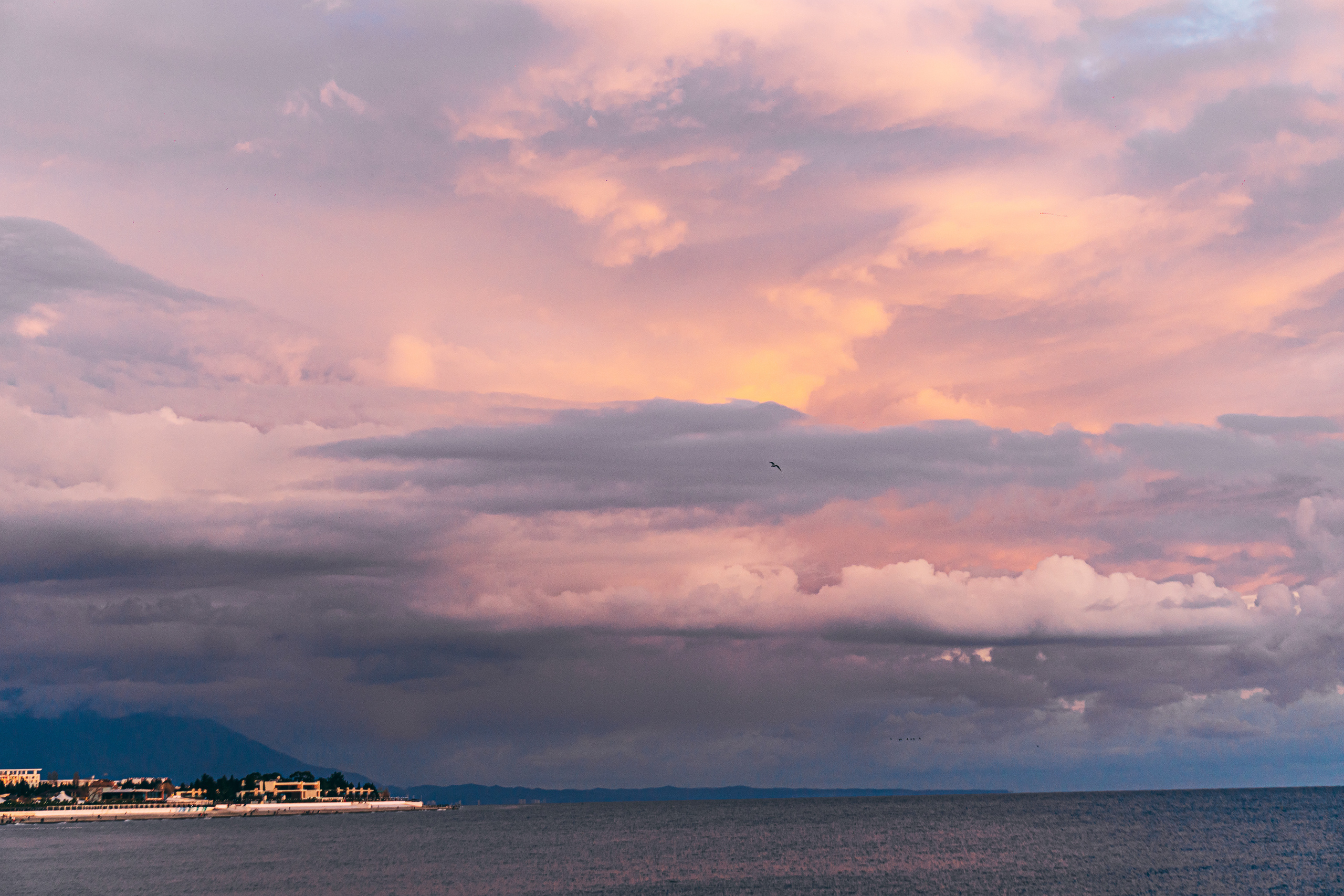Зима в Сочи. Наталия Баранова — профессиональный фотограф в СПб и Москве