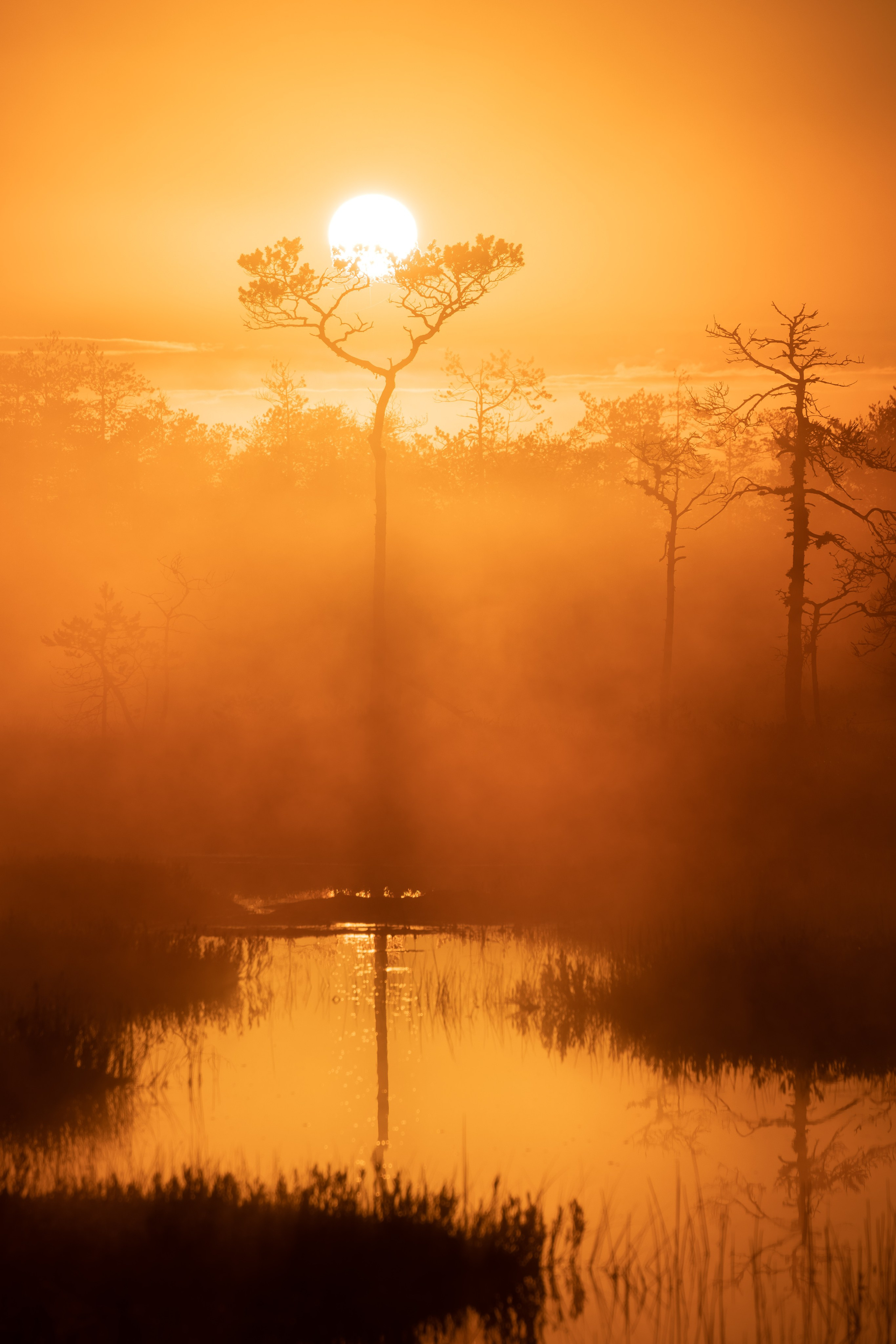 Галерея работ в жанре пейзажа, городского пейзажа и архитектуры. Покупка лицензий для коммерческого использования. Интерьерный фотограф в Санкт-Петербурге Михаил Азаров. Печать и продажа фотографий