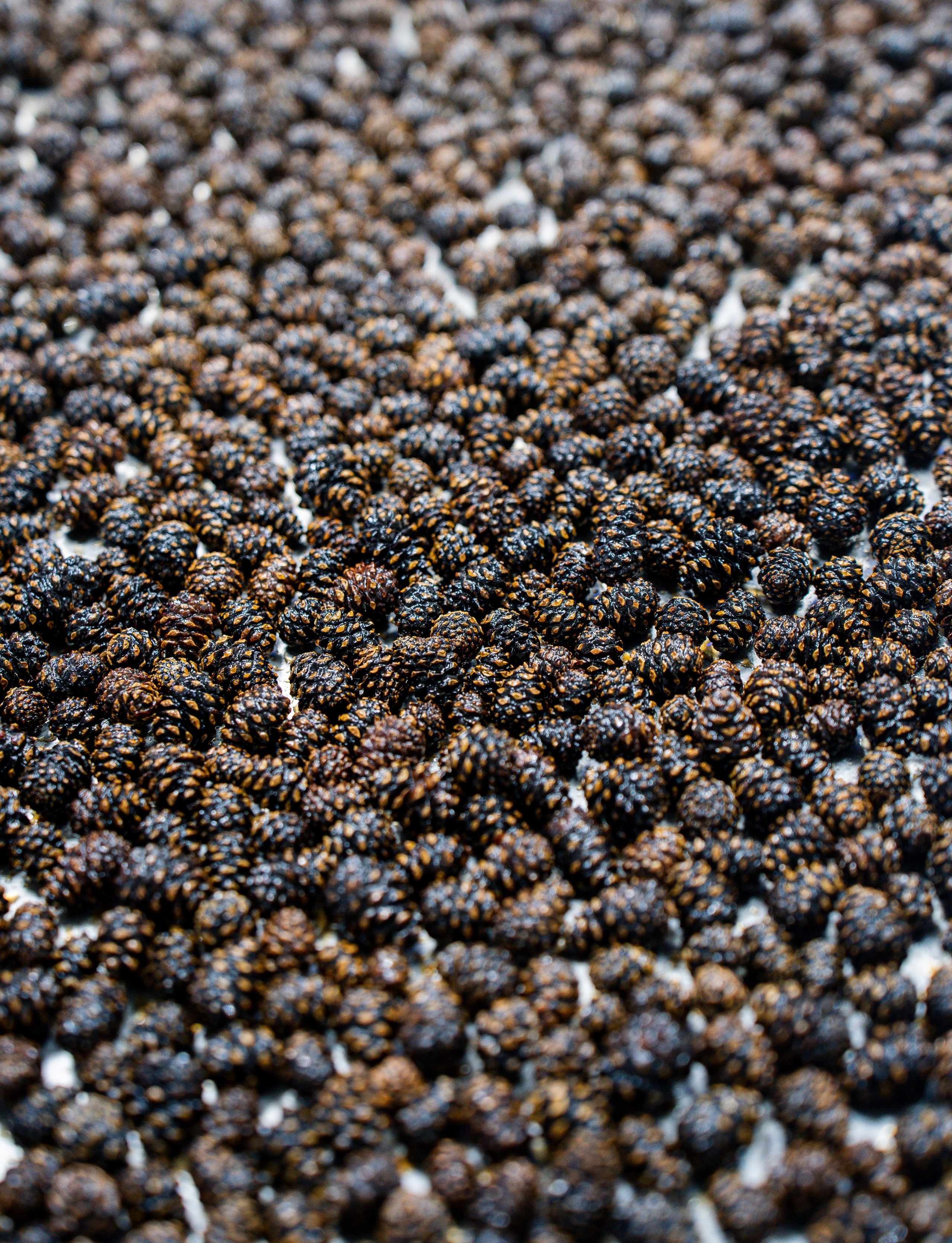 Репортажный фотограф в Москве Вадим Галанин