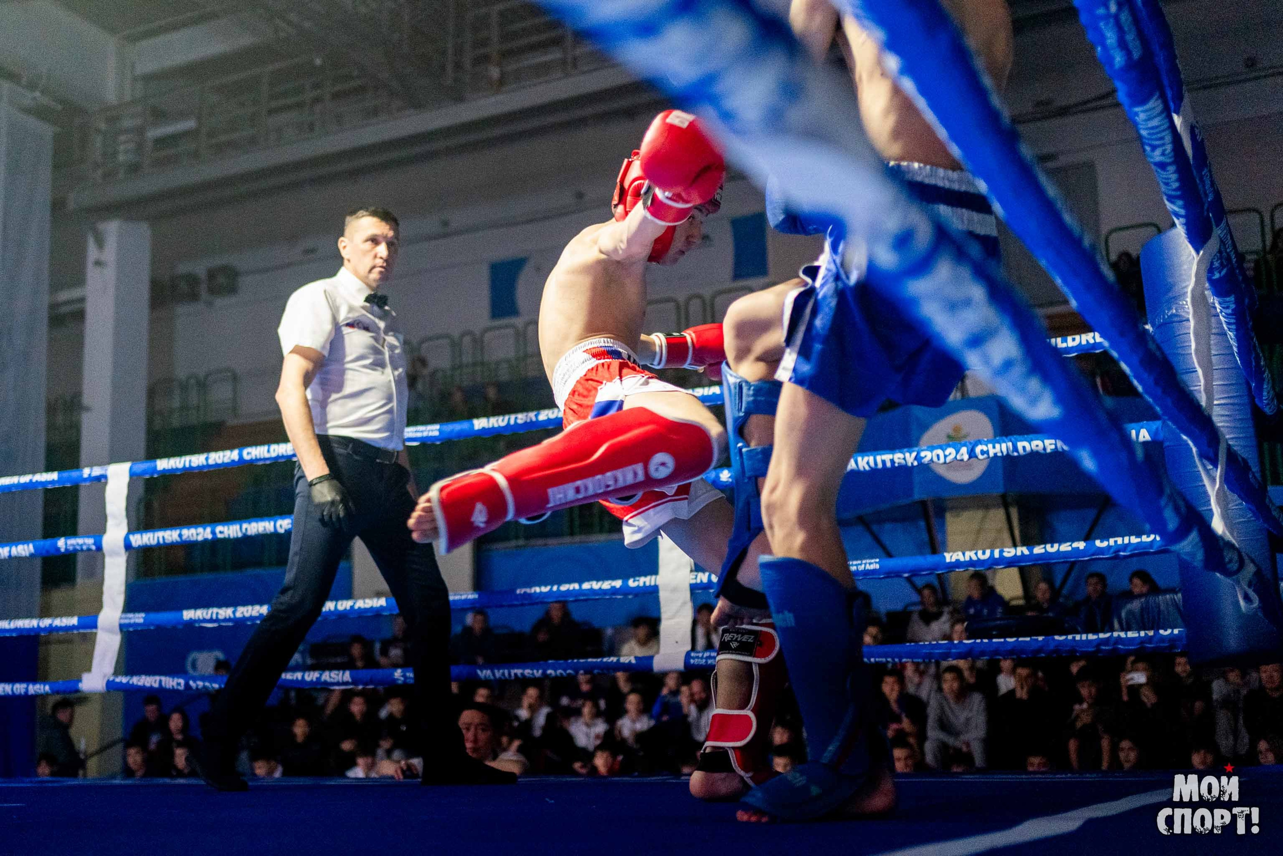 Чемпионат и первенство ДФО по кикбоксингу пам. А. Е. Иванова. Студия «Мой Спорт!» — все о спорте в Якутии