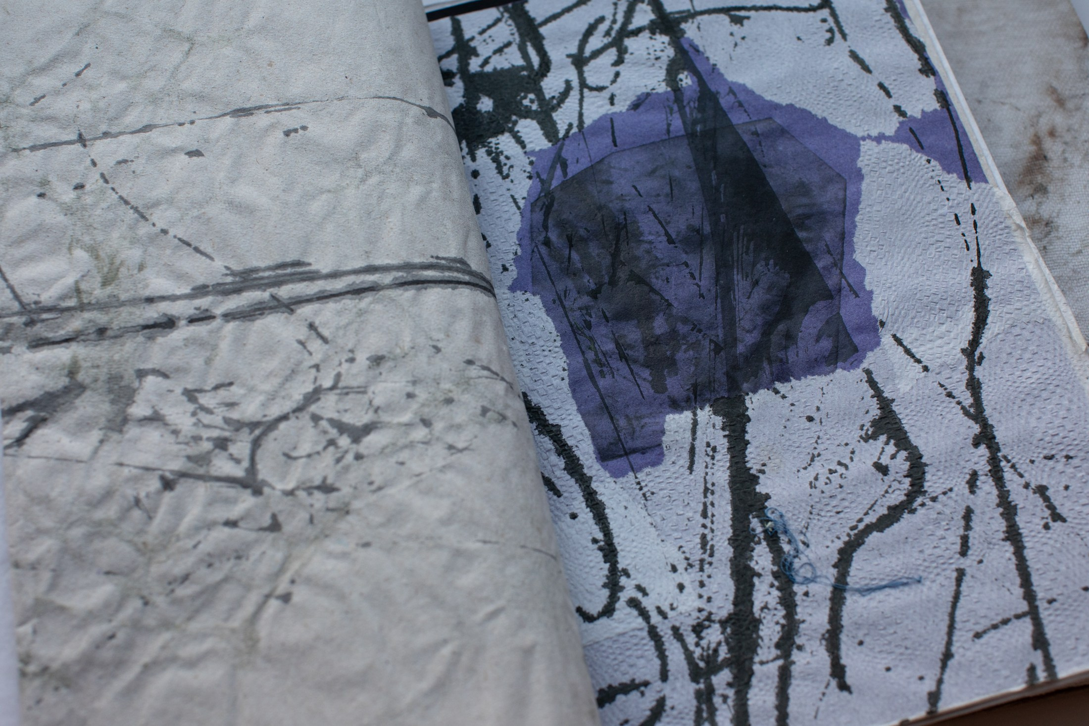 Подсосенские тетради. Natalya Madilyan