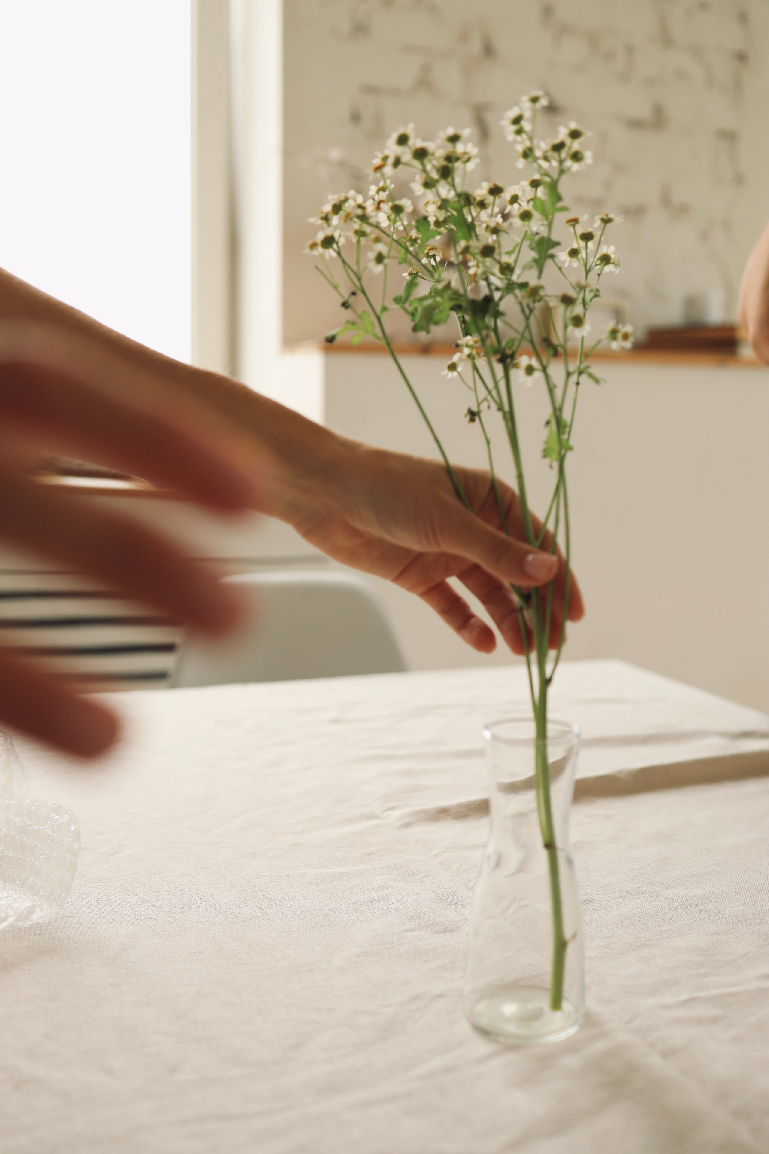 Cooking class by Cook Kruzhok | 2023. POLINA MÔMOT