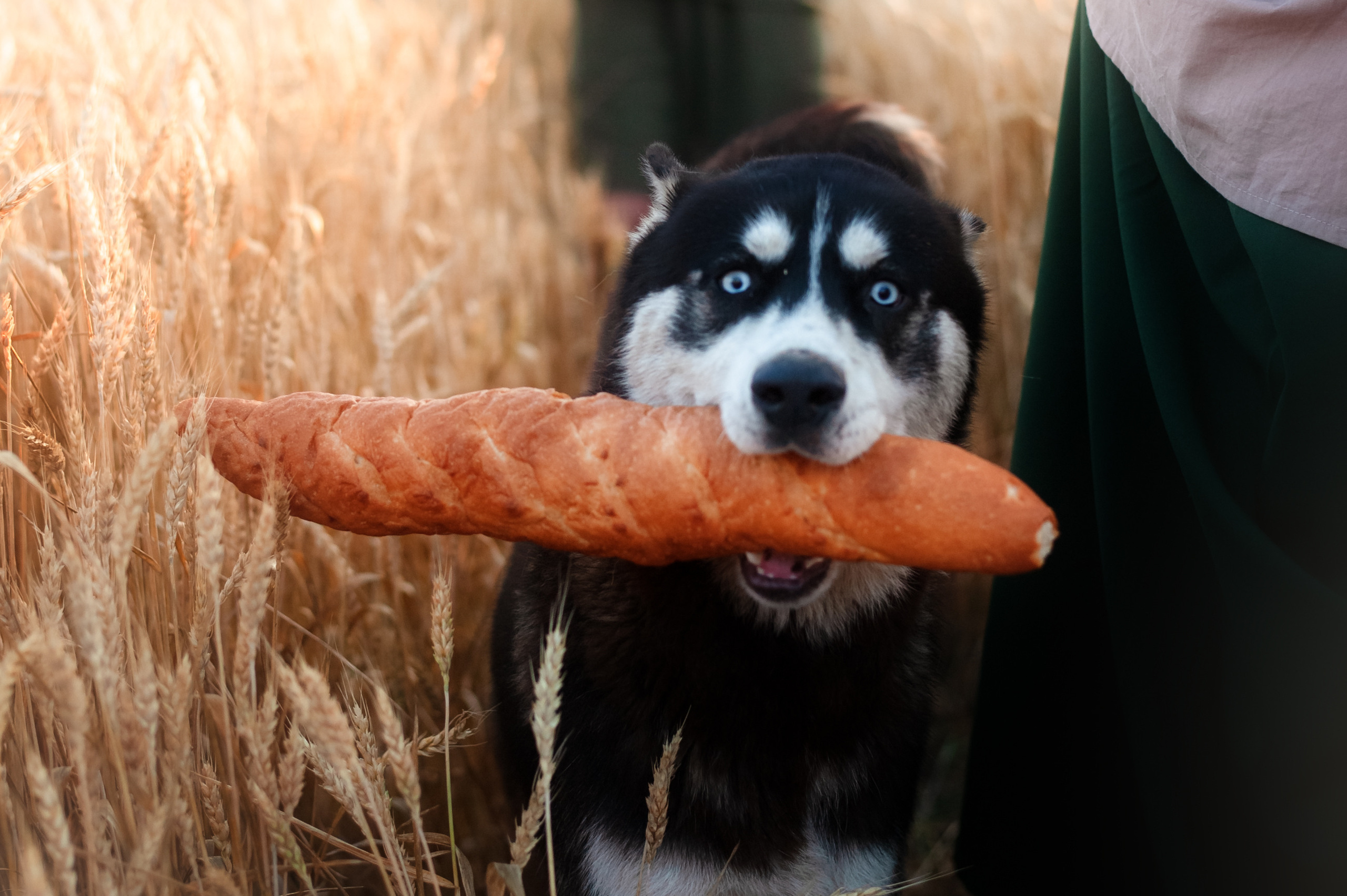 Детский и семейный фотограф Краснодар. Семейный и детский фотограф г. Краснодар и Кр. край Семисенко Яна