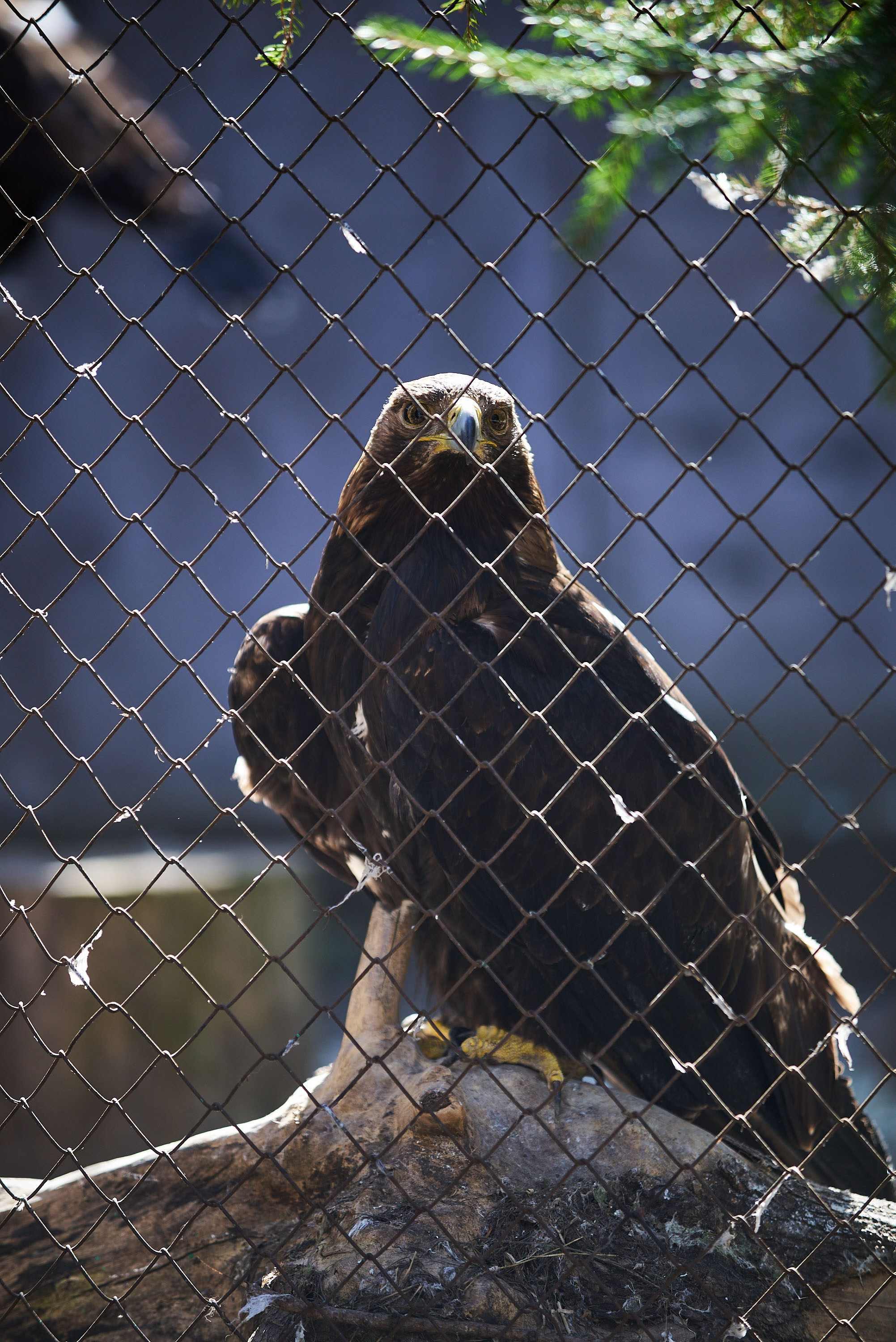 Зоопарк Иваново. Фотограф в Иваново: Каталожная съемка одежды и постельного белья, Wildberries
